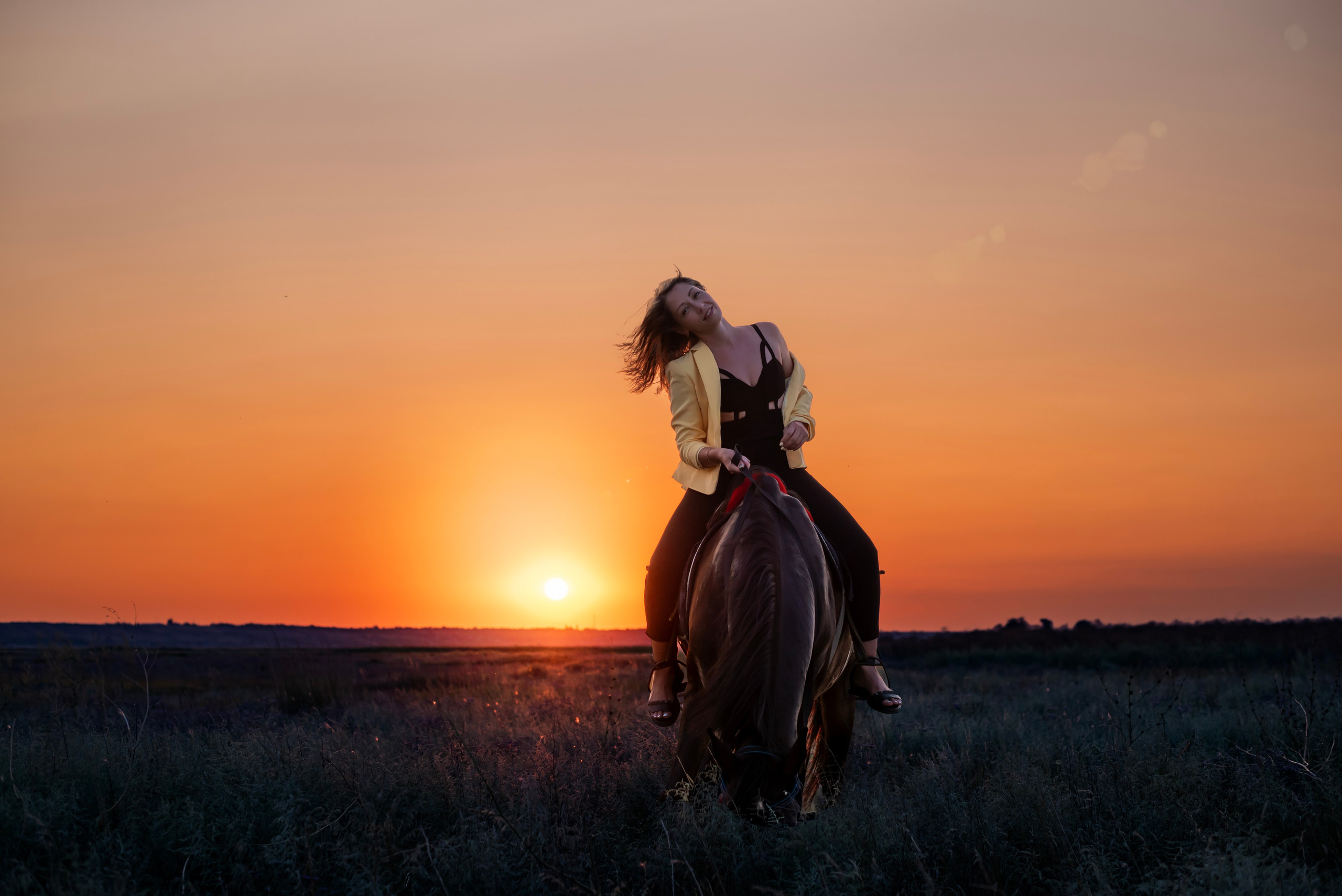 Леди и лошадь. Главная