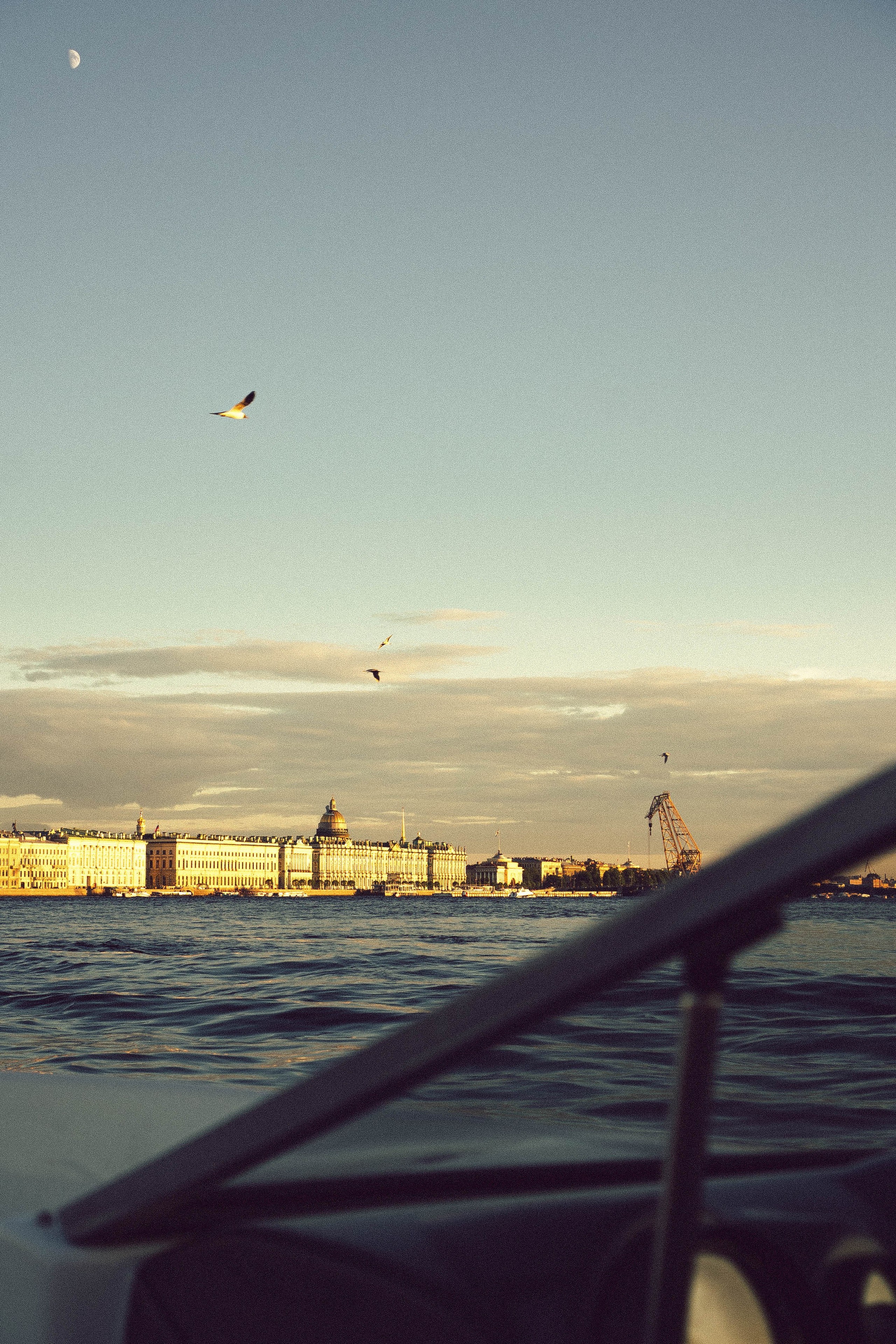 Летняя морская прогулка. Профессиональный фотограф, Санкт-Петербург — Виктория Богомолова