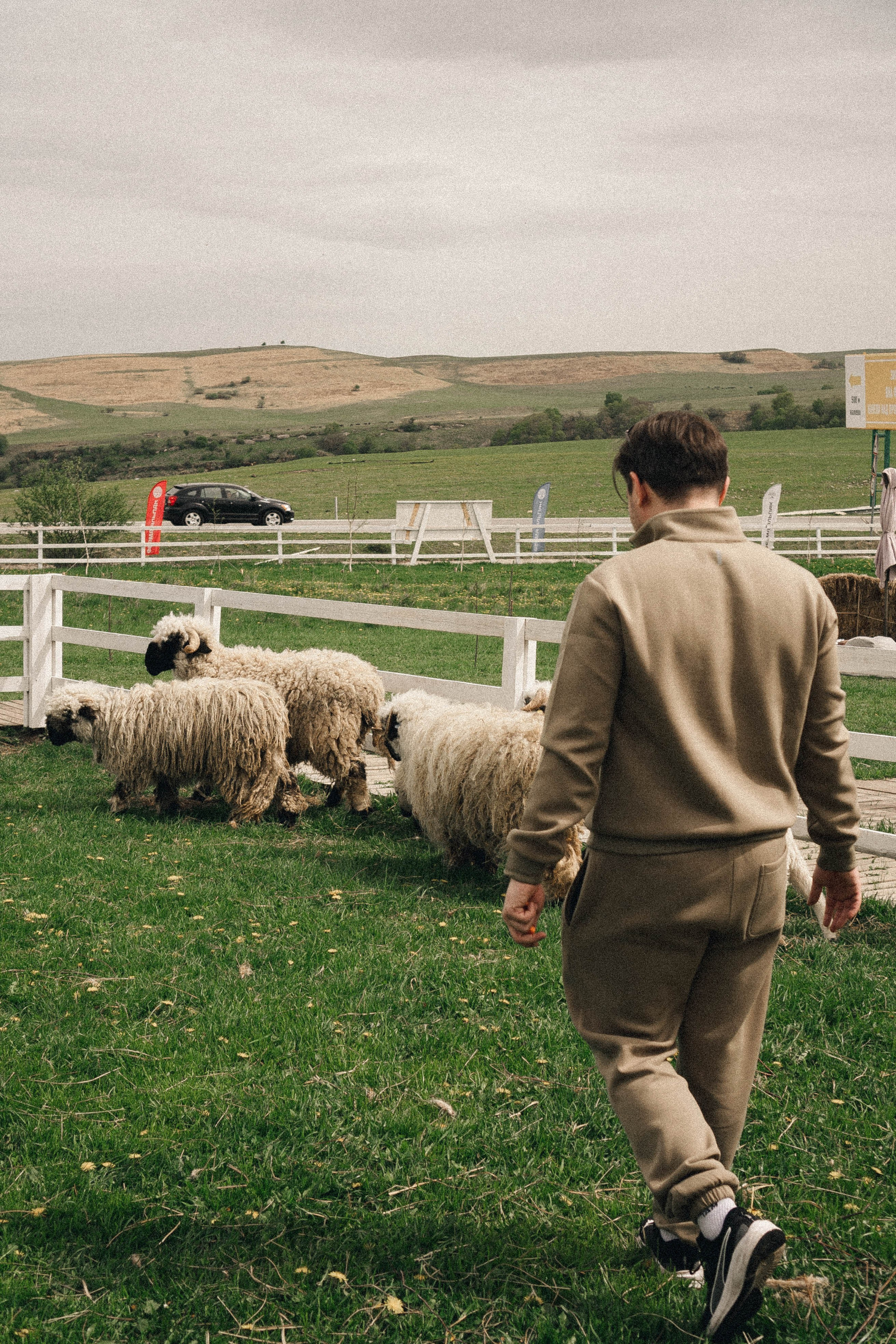Ферма Альпак. Профессиональный фотограф, Санкт-Петербург — Виктория Богомолова