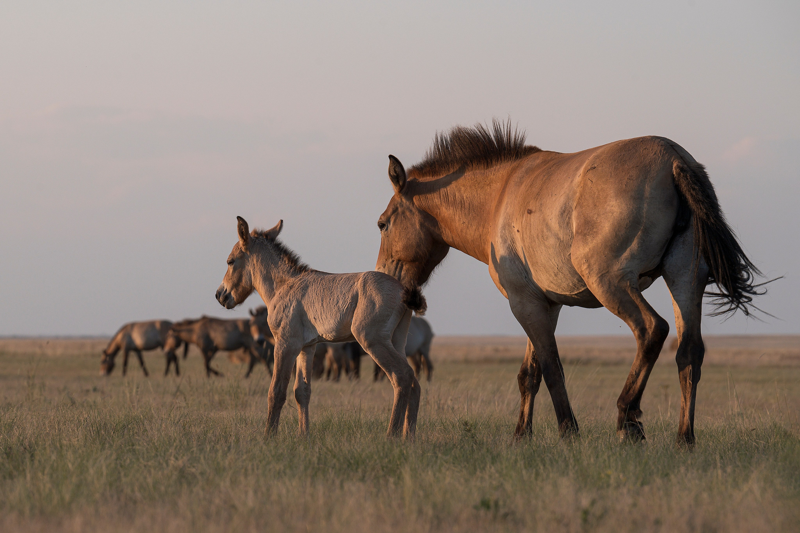 Оренбуржье. Портретный фотограф в Челябинске Катерина Руди