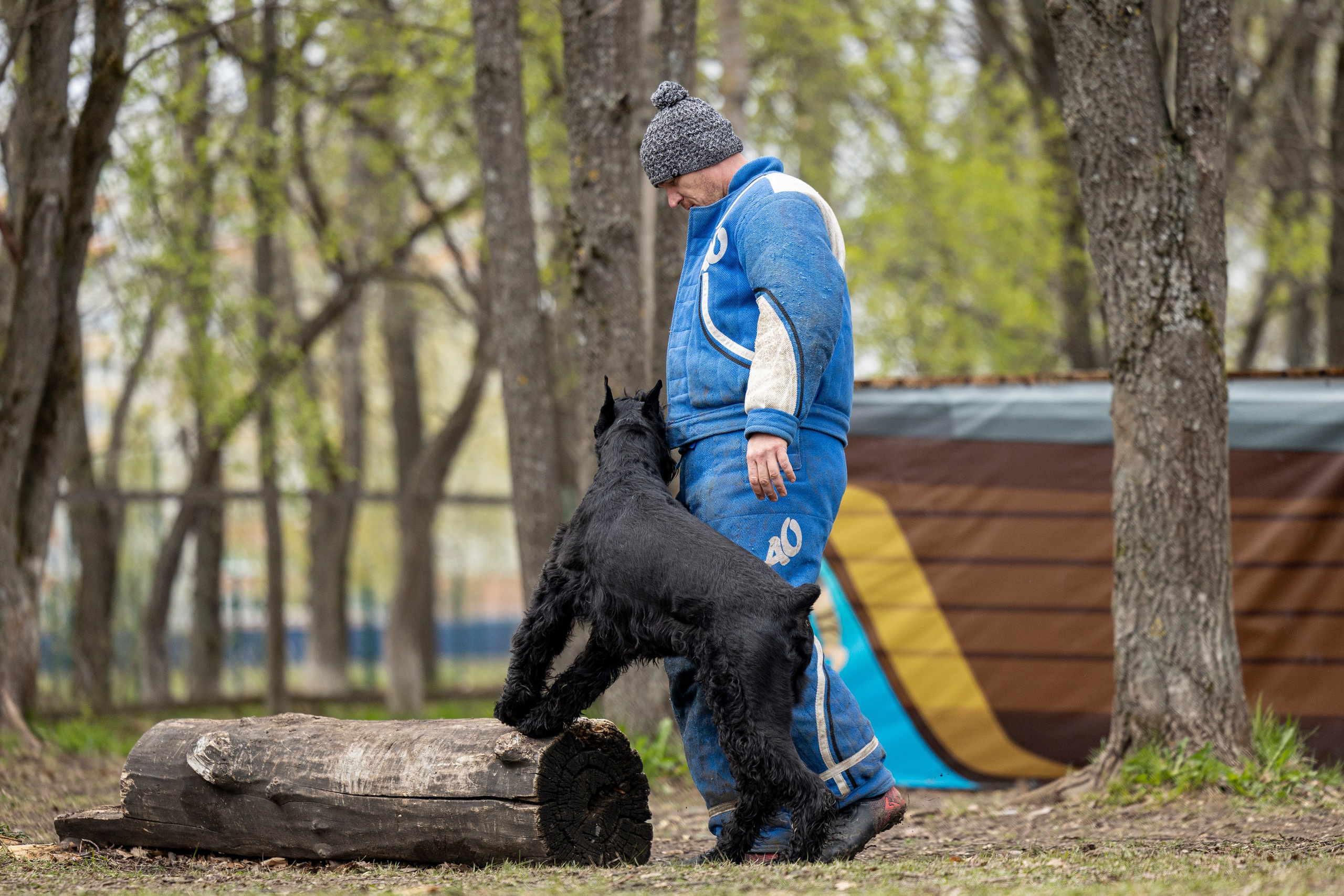 Квалификационные состязания по мондьорингу г. Вологда 11.05.24. Фотограф-анималист Анна Маринич