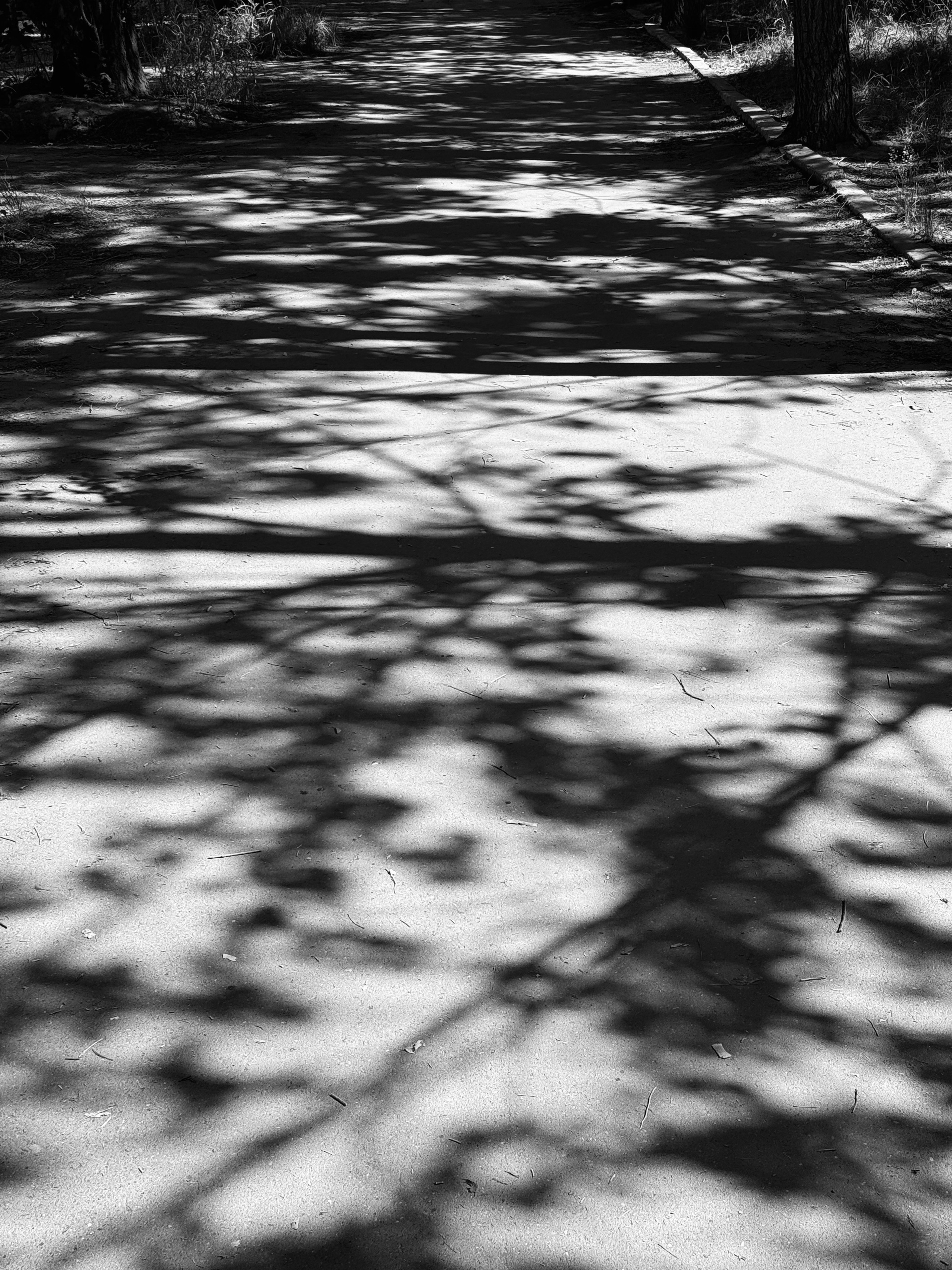 Выставка «Естество», 18.11-30.11.2025, галерея Molbert, г. Санкт-Петербург, фотограф Ульяна Красикова Омск