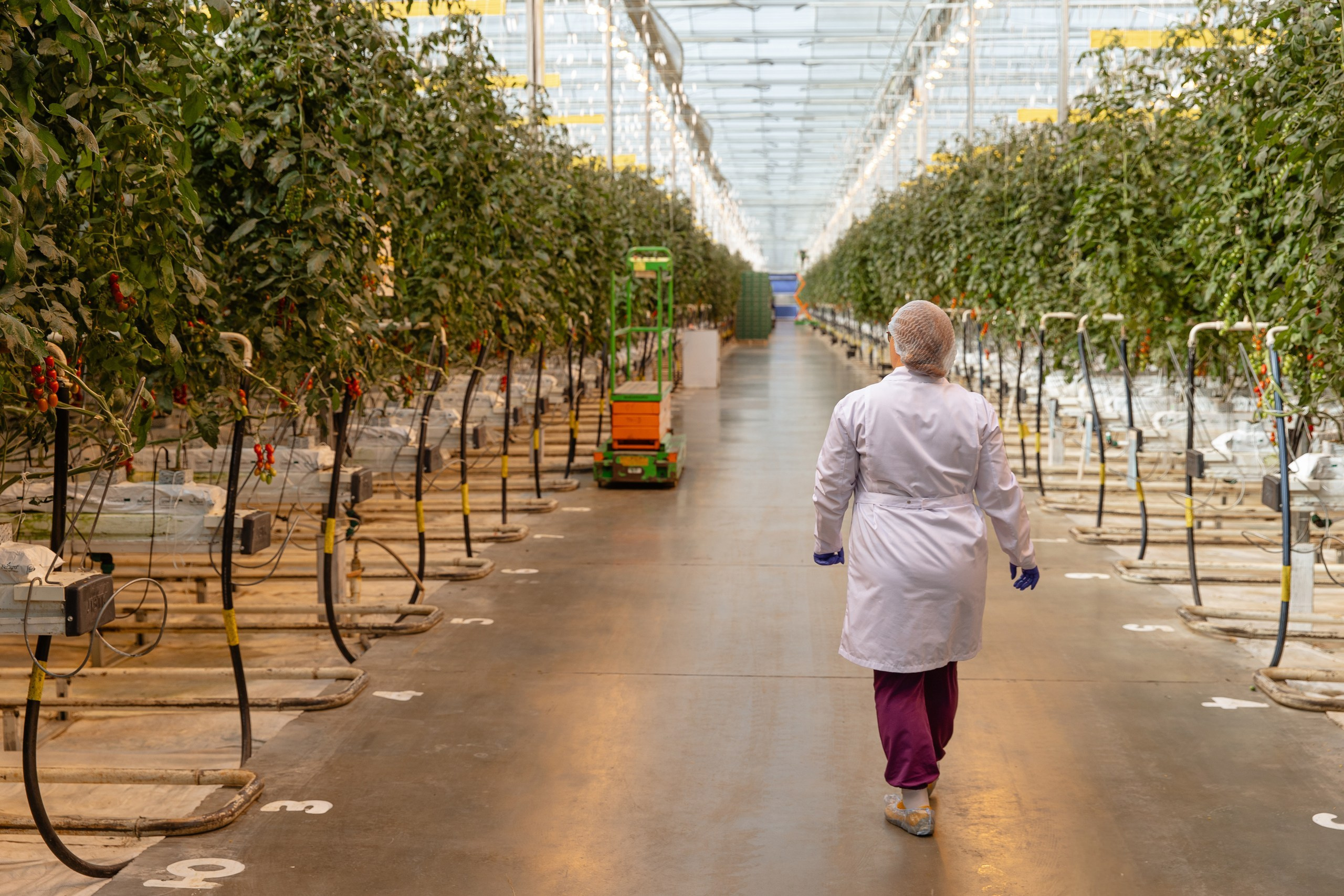 Производство. Фотограф Николай Петрушкин | Ставрополь, Москва