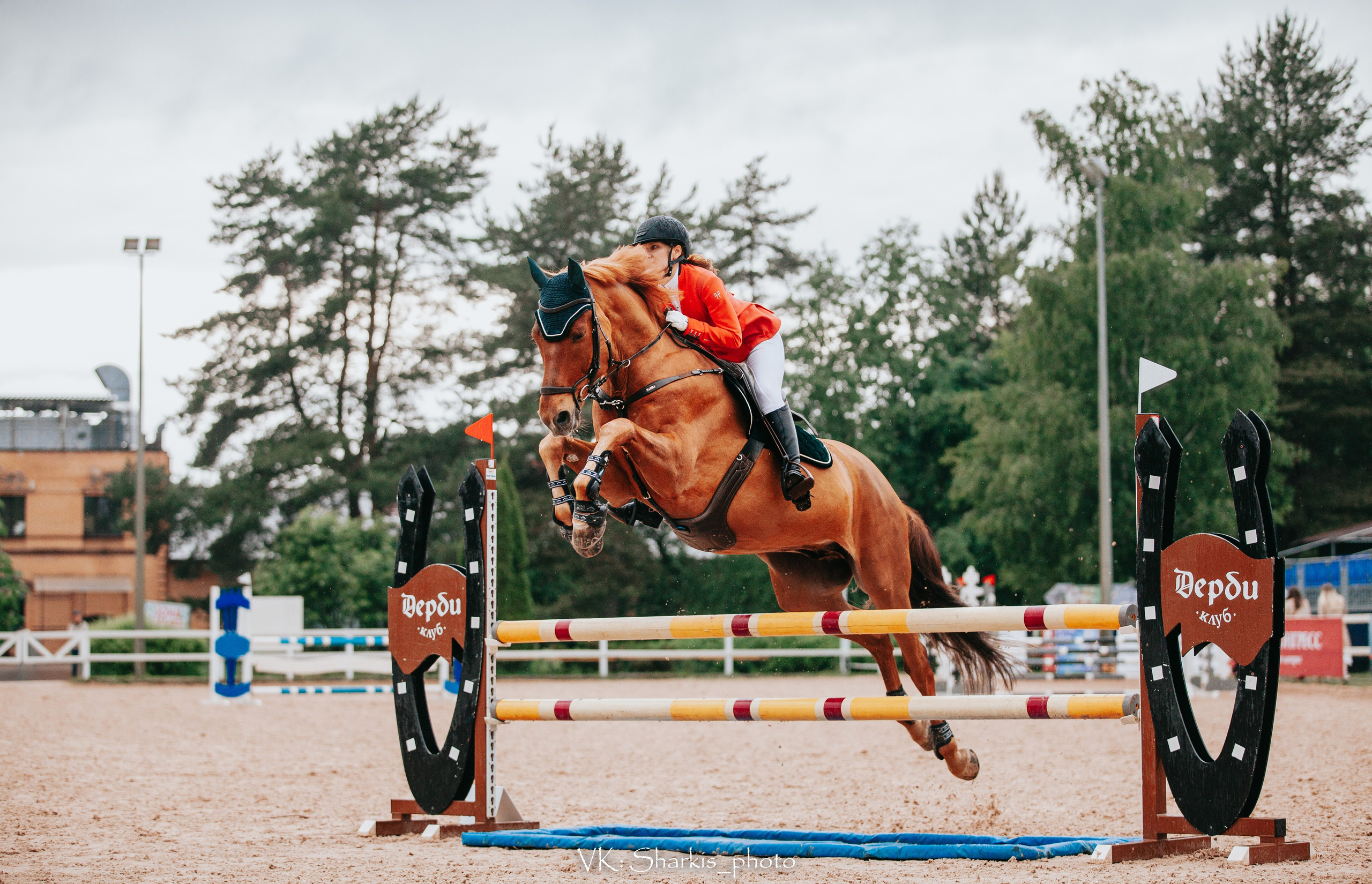 Лошади. Главная