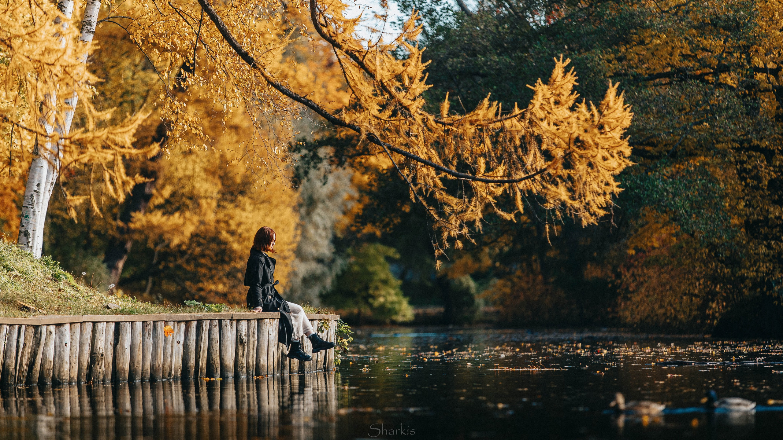 Света. Главная