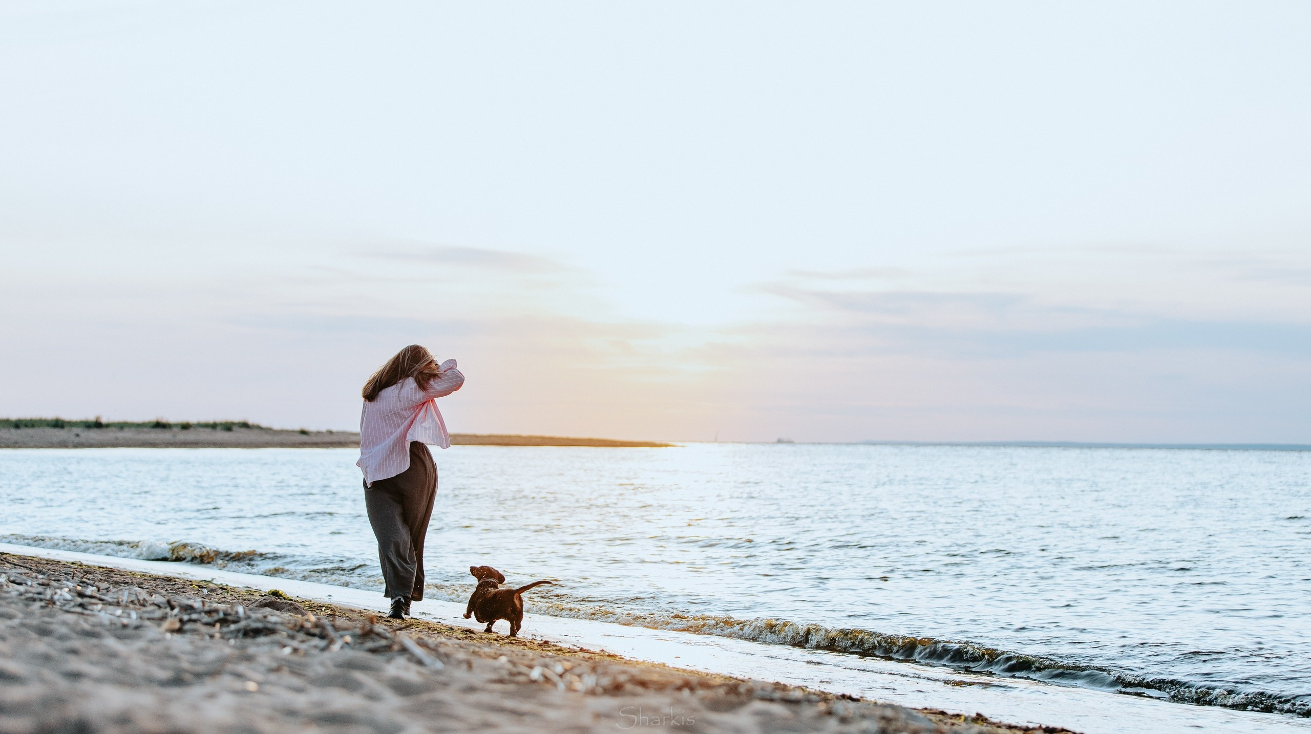 Аня и Алиса. Главная