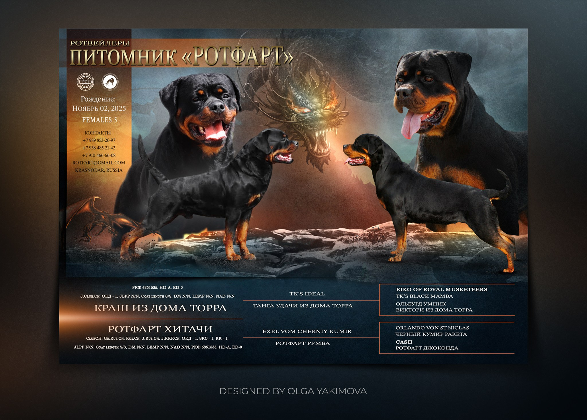 Animal presentation. Фотограф