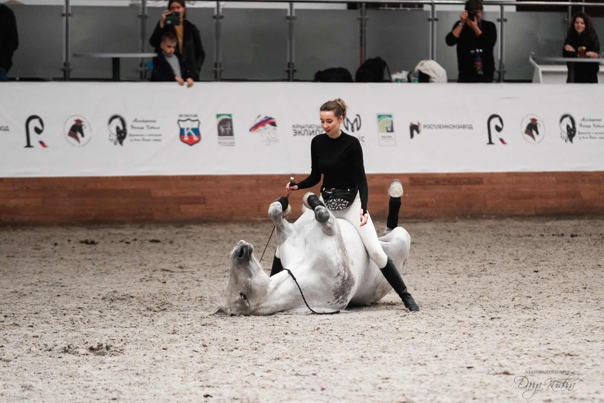 8-я международная выставка Конная Россия. Конный фотограф Куракина Дарья • Фотосессии с лошадьми