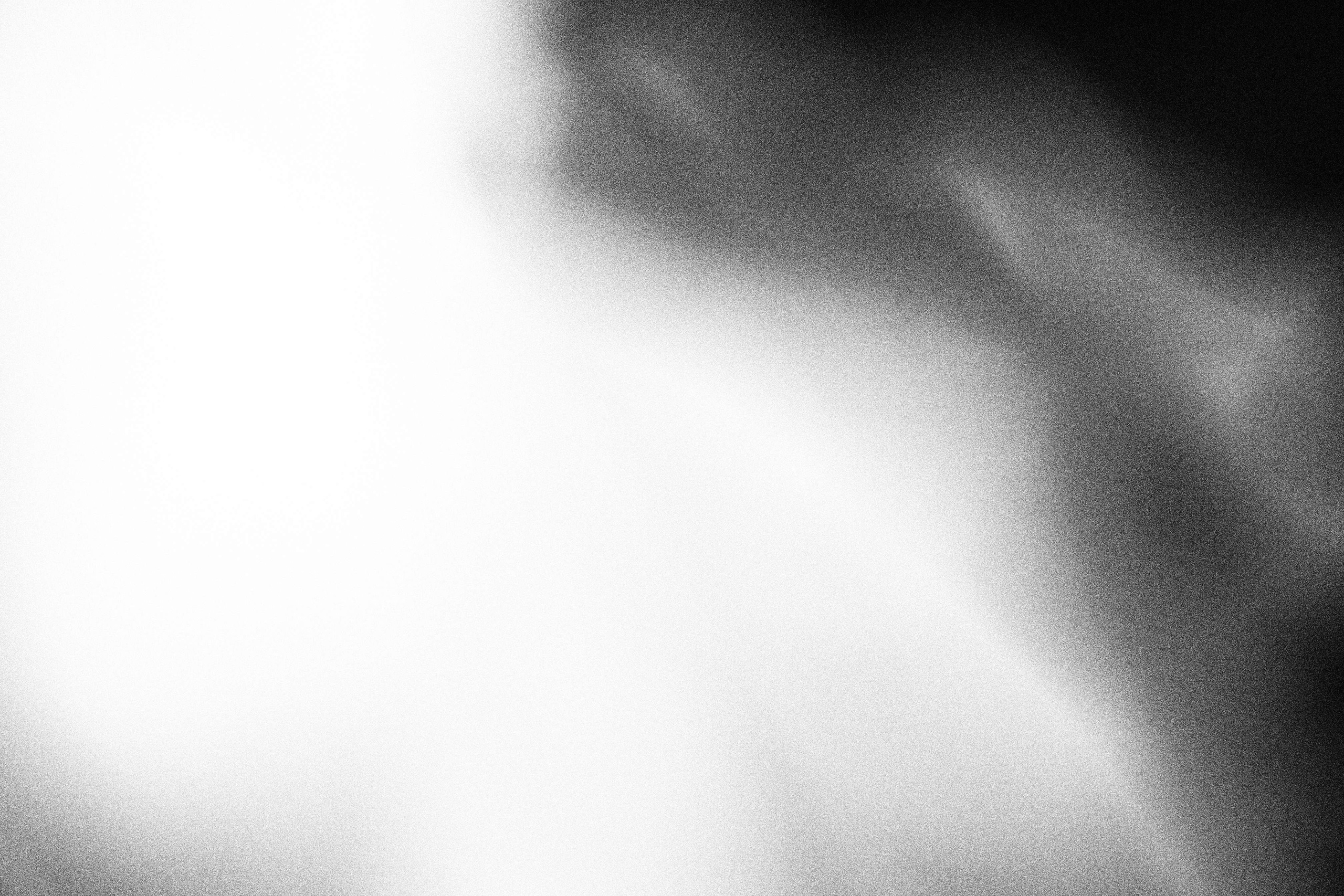 «Видеть. Чувствовать. Сохранять»