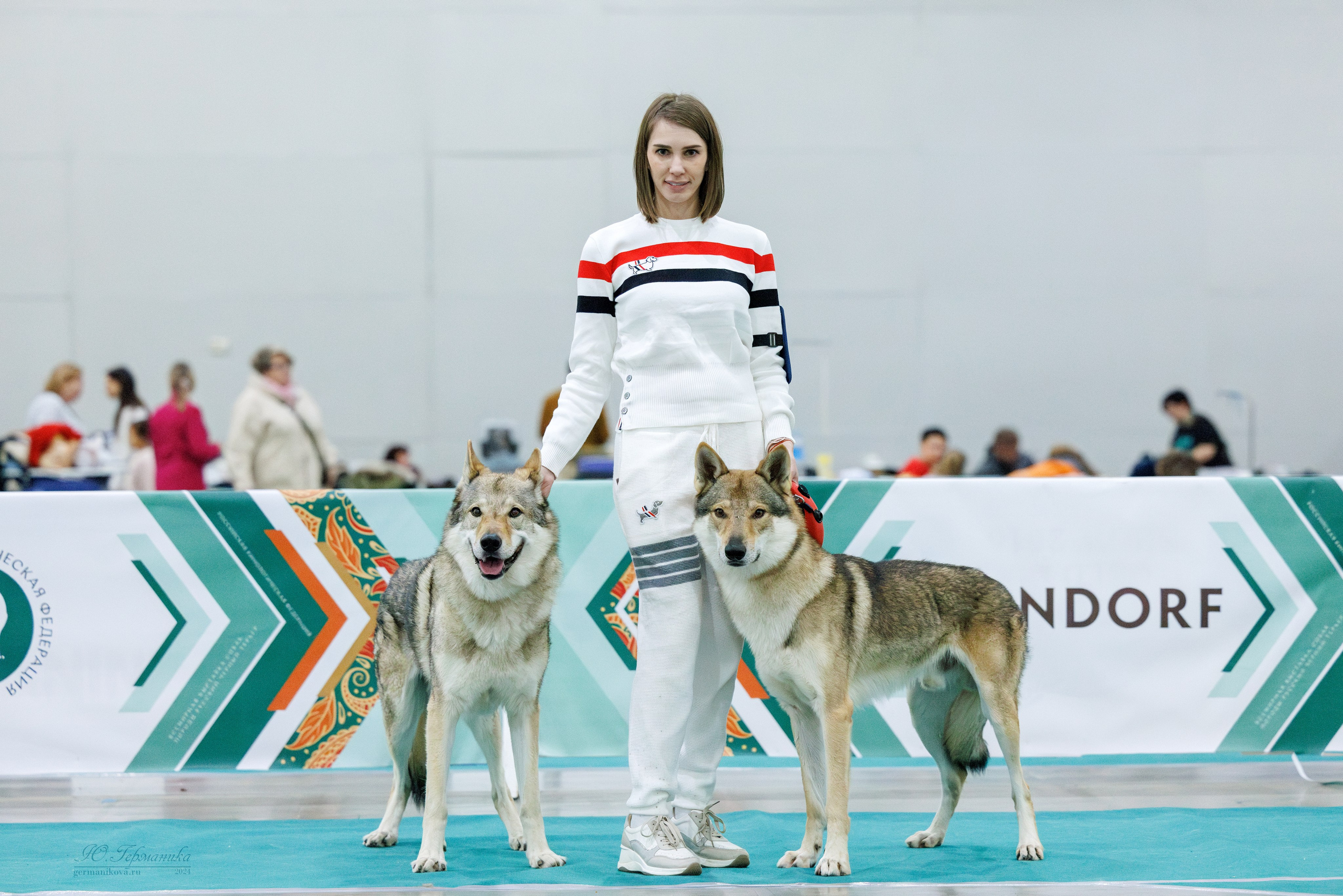 Евразия 16-17.11.2024. Фотограф-анималист Юлия Германика