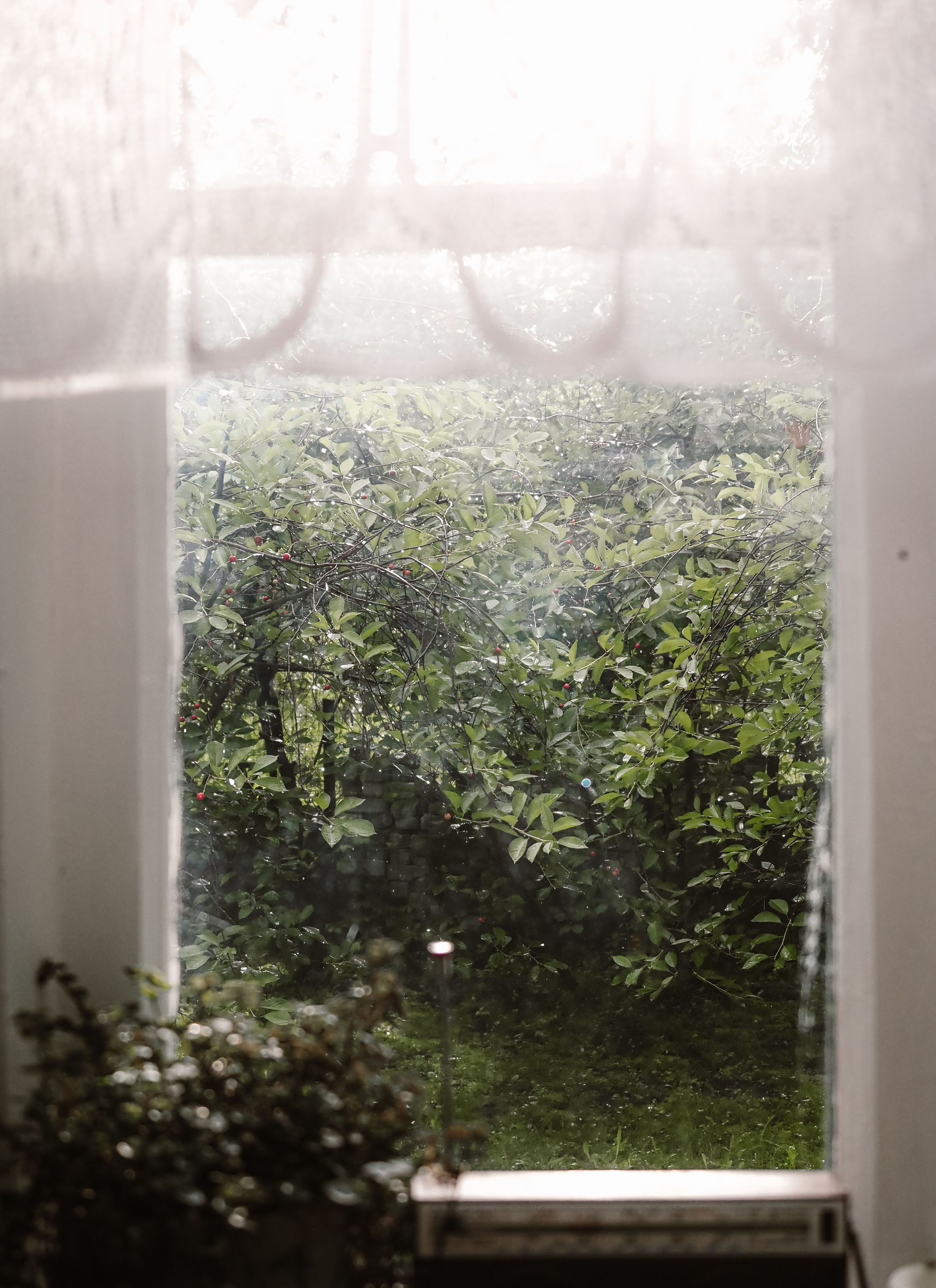 Ира Михаил. Фотограф Рязань. Семейный Свадебный фотограф