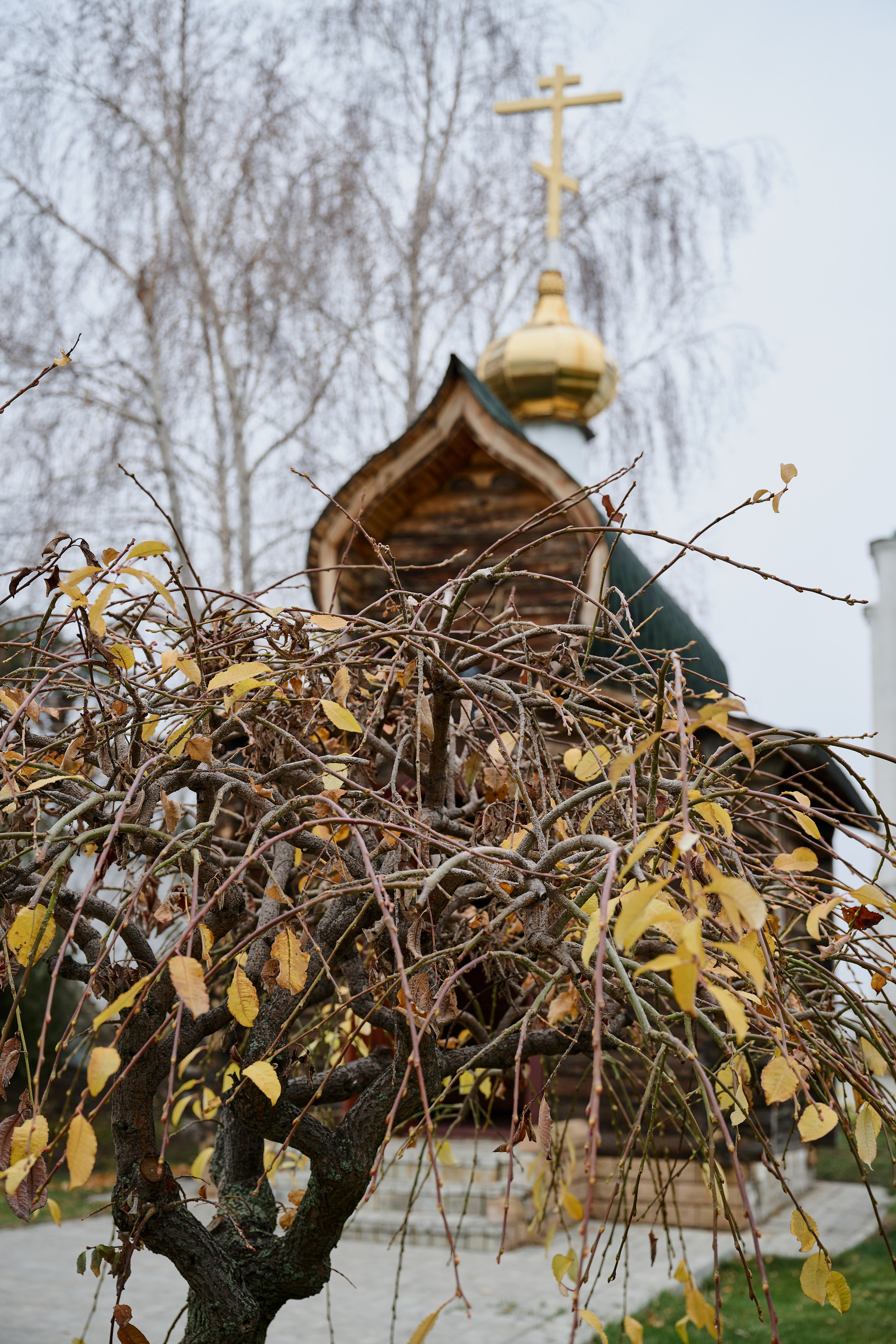 Рубежное. Луганская область. Фотопроект «Территории»
