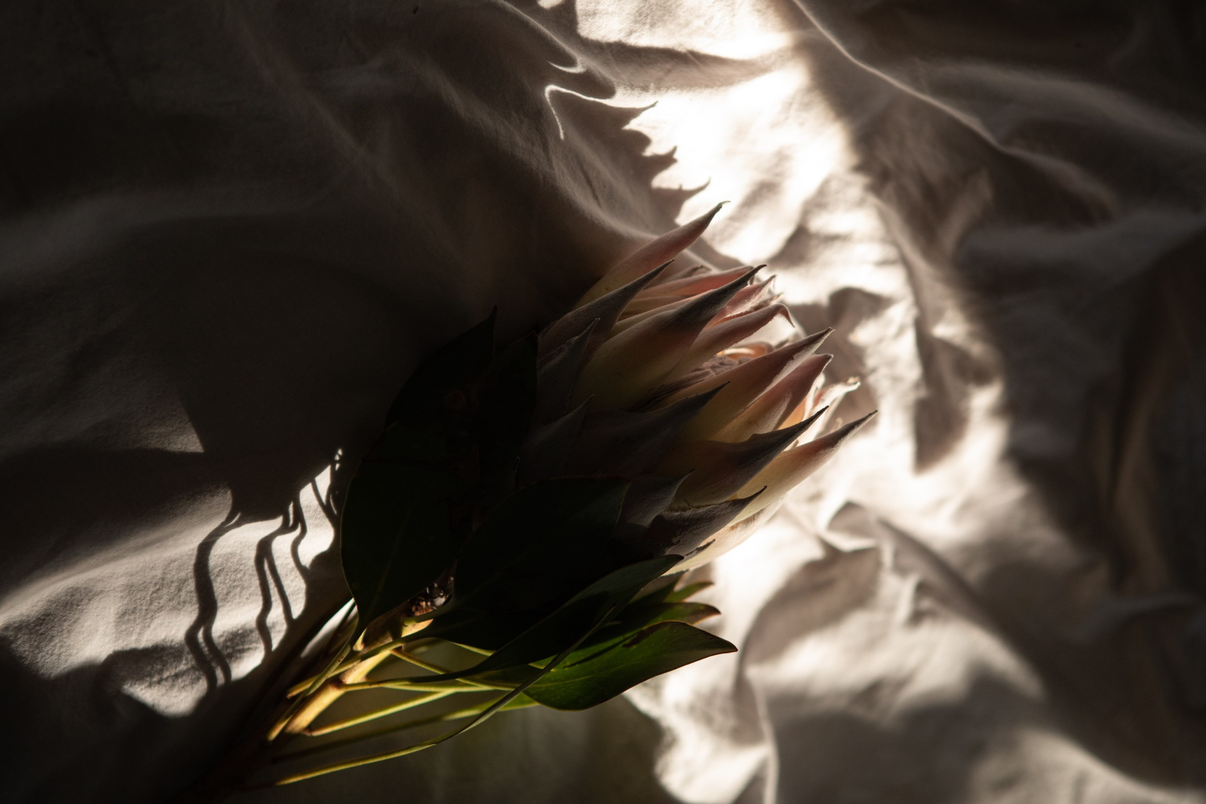 Игорь и София. Свадебный фотограф Сочи, Екатеринбург и Санкт-Петербург