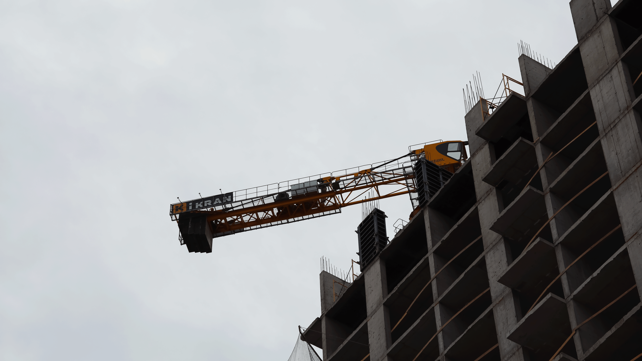 TMN autumn '24. Фотограф/дизайнер в Екатеринбурге Хитрый Дмитрий