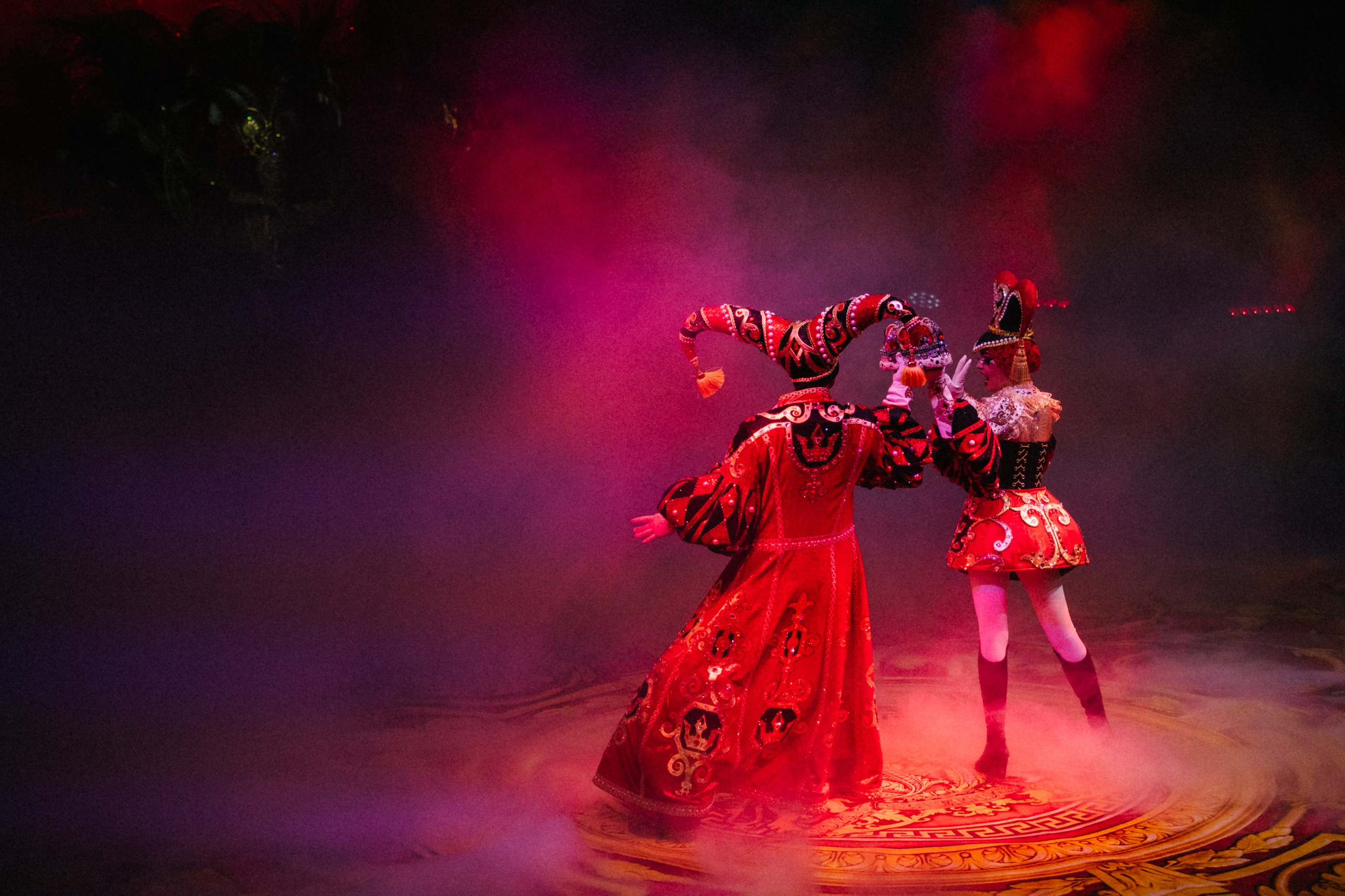 Королевский Цирк Гии Эрадзе. Репортажный и портретный фотограф в Санкт-Петербурге Степлевич Дарья