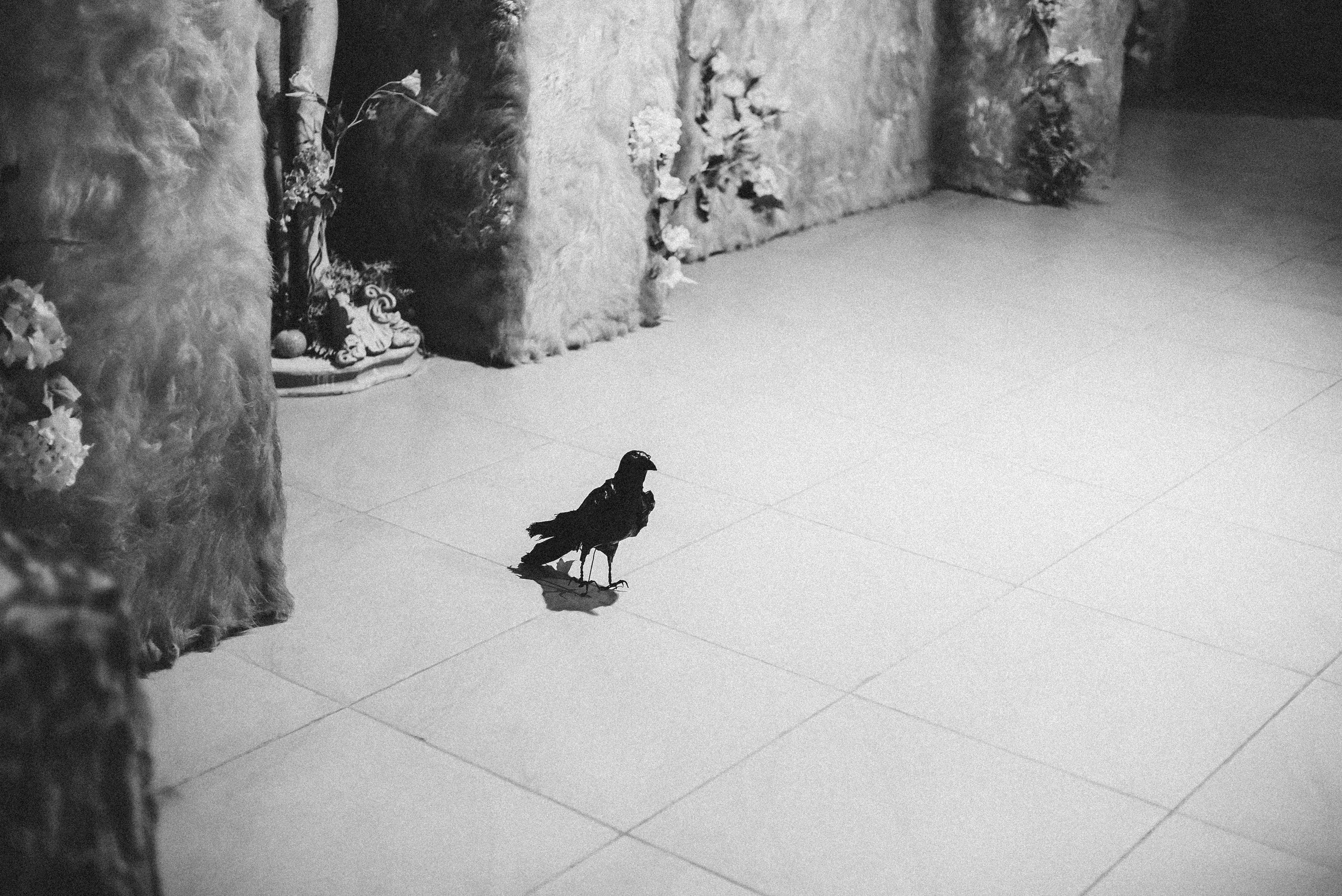 Театр. Фотограф Анатолий Деникин