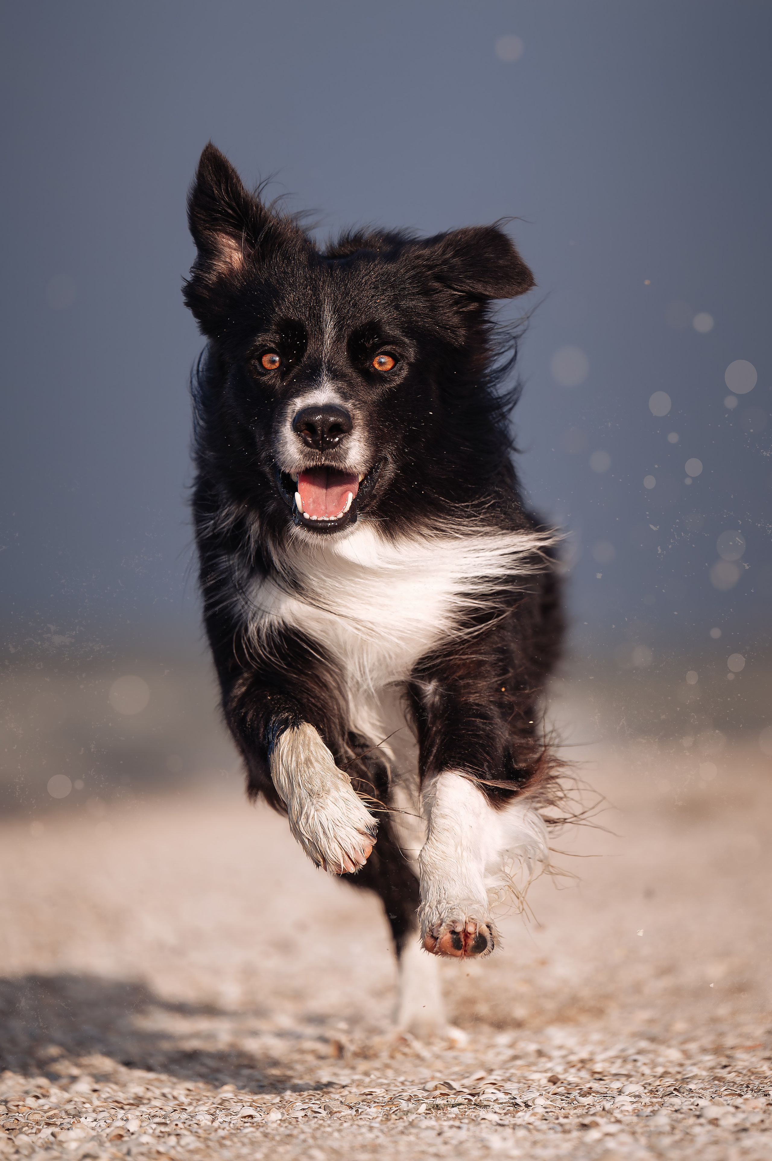 Фотограф в Ростове —на — Дону