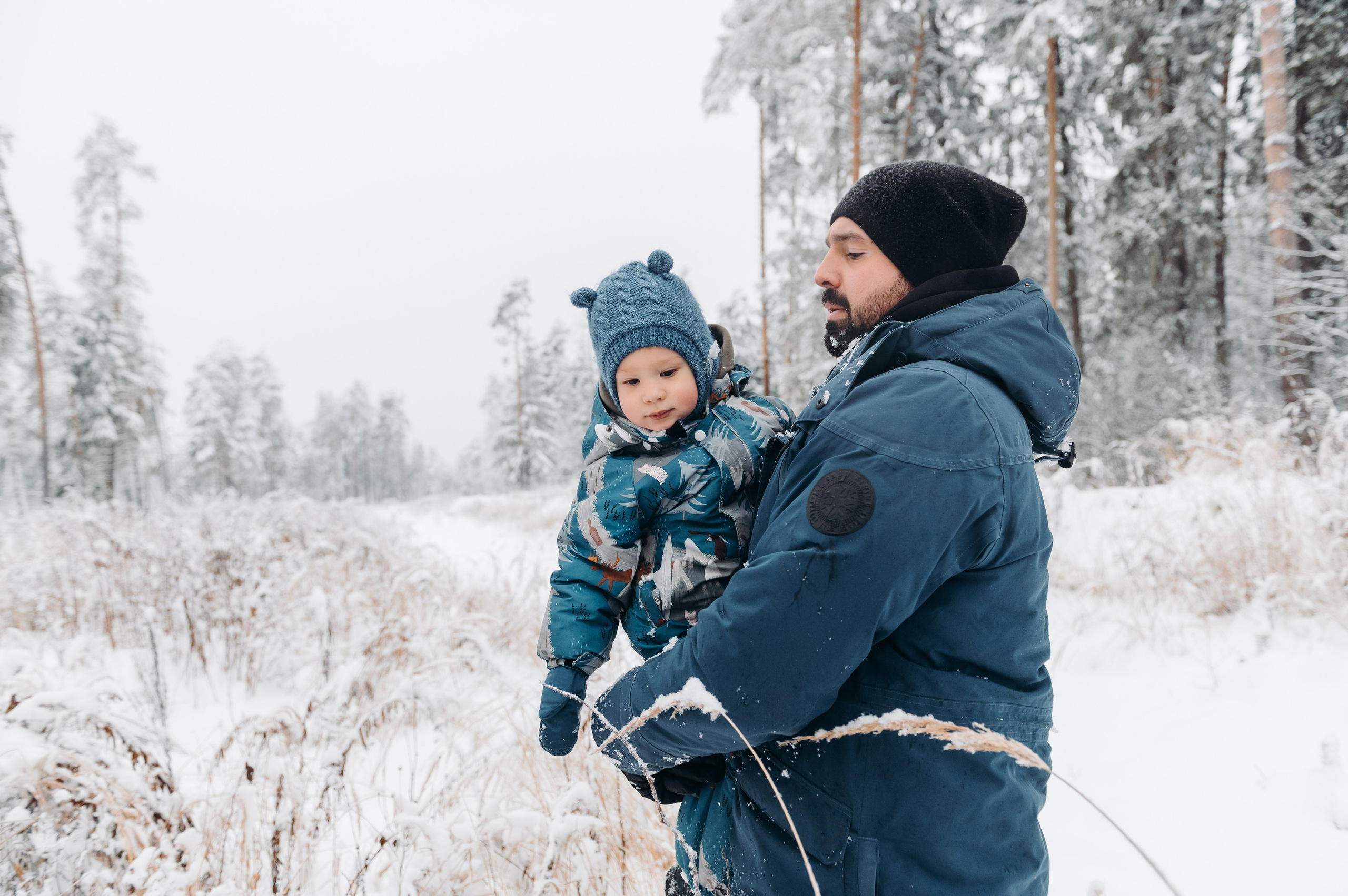 Снежная прогулка. Главная