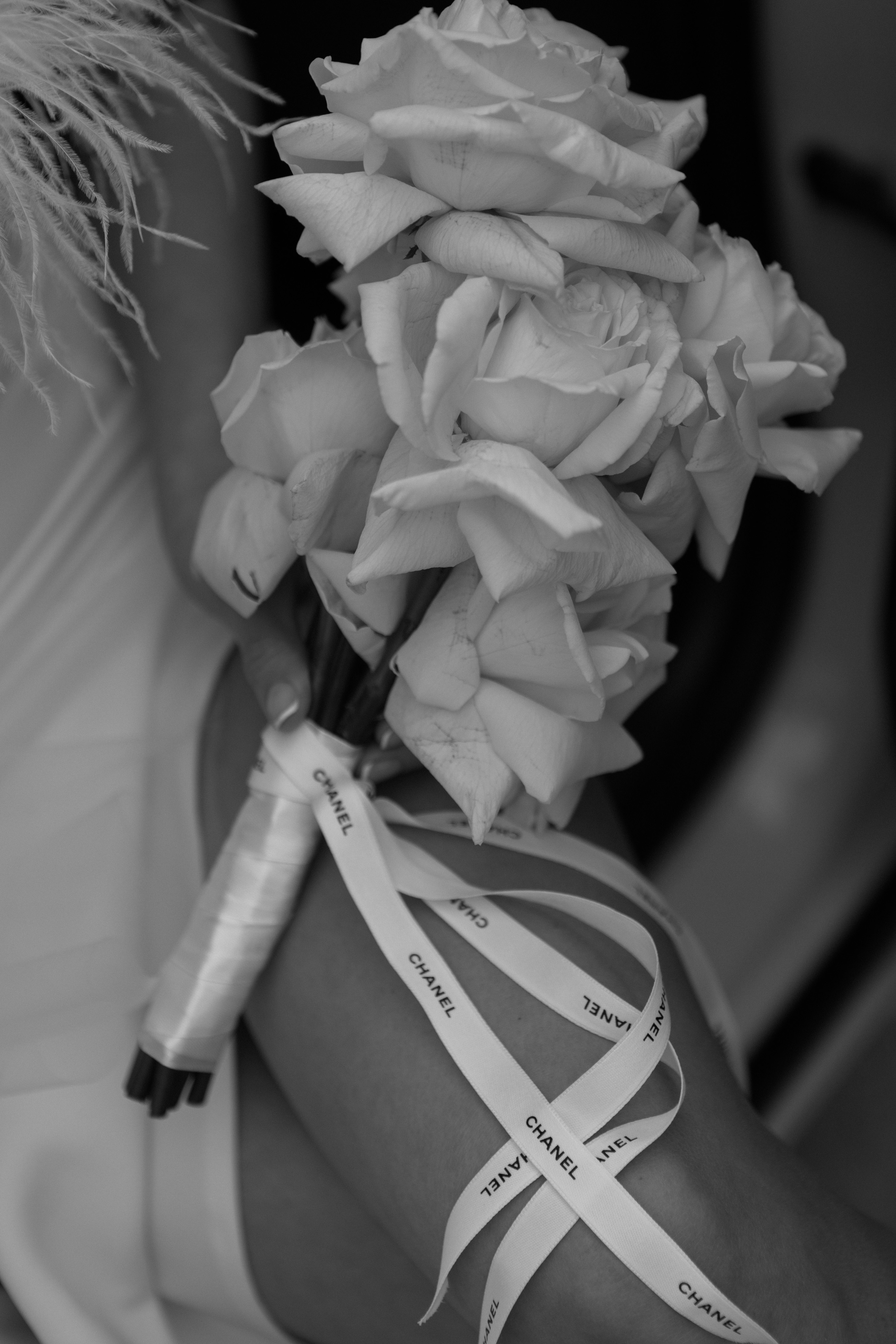 Валентин и Настя. Фотограф Андреева Алёна