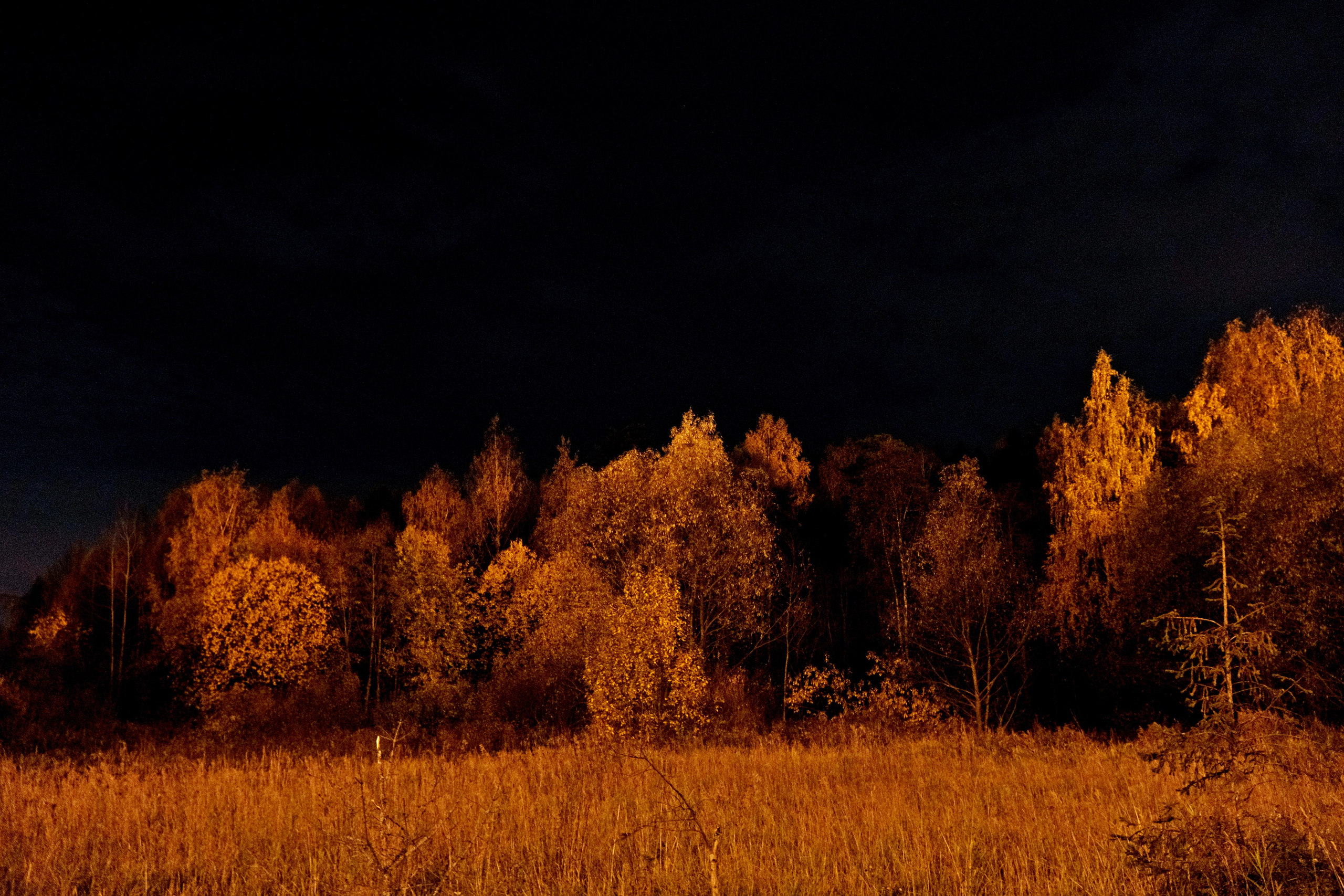 Фотоальбом с разными съёмками