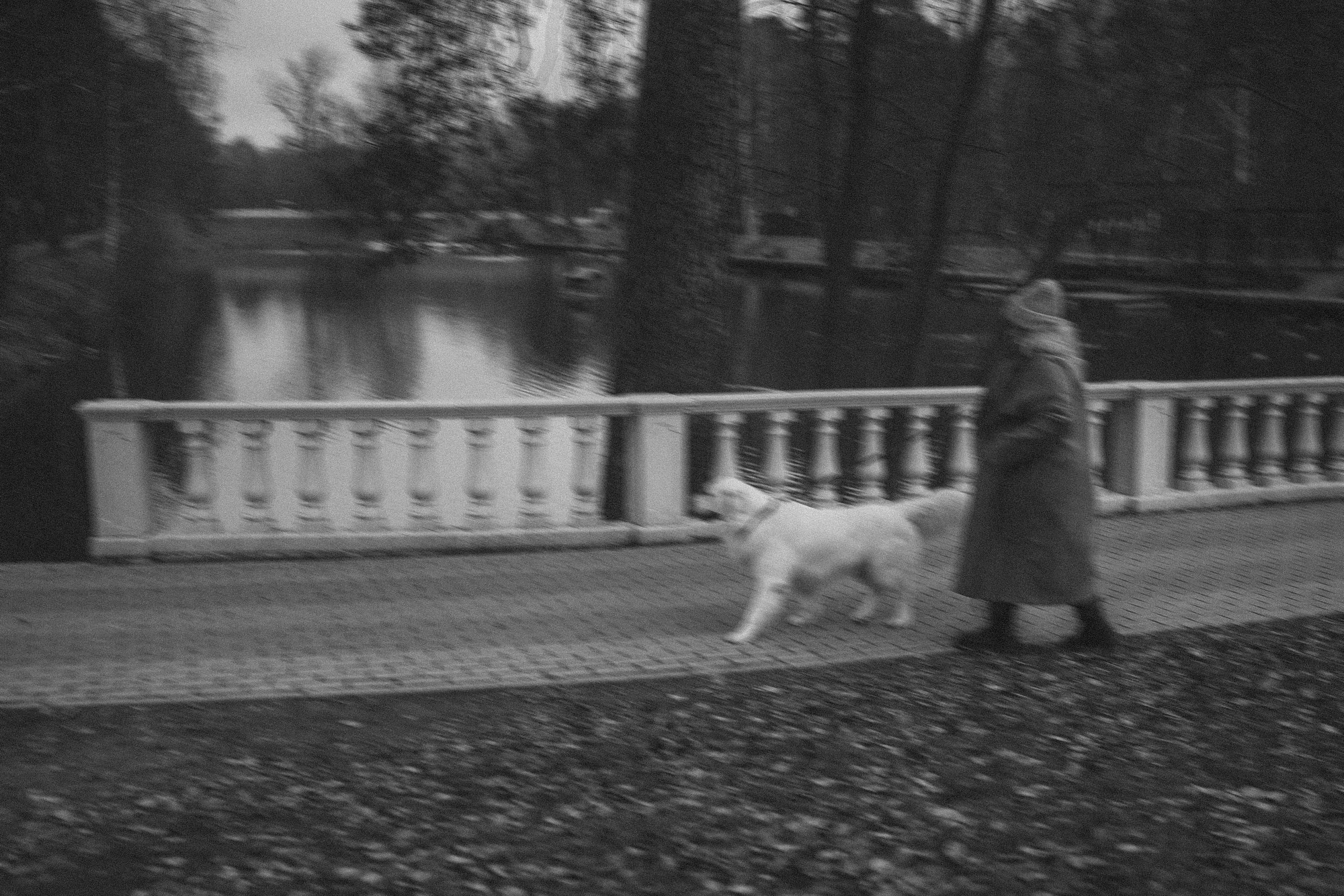 Лена и Мерлин. Фотограф анималист в Москве и Санкт-Петербурге Свиридова Анна