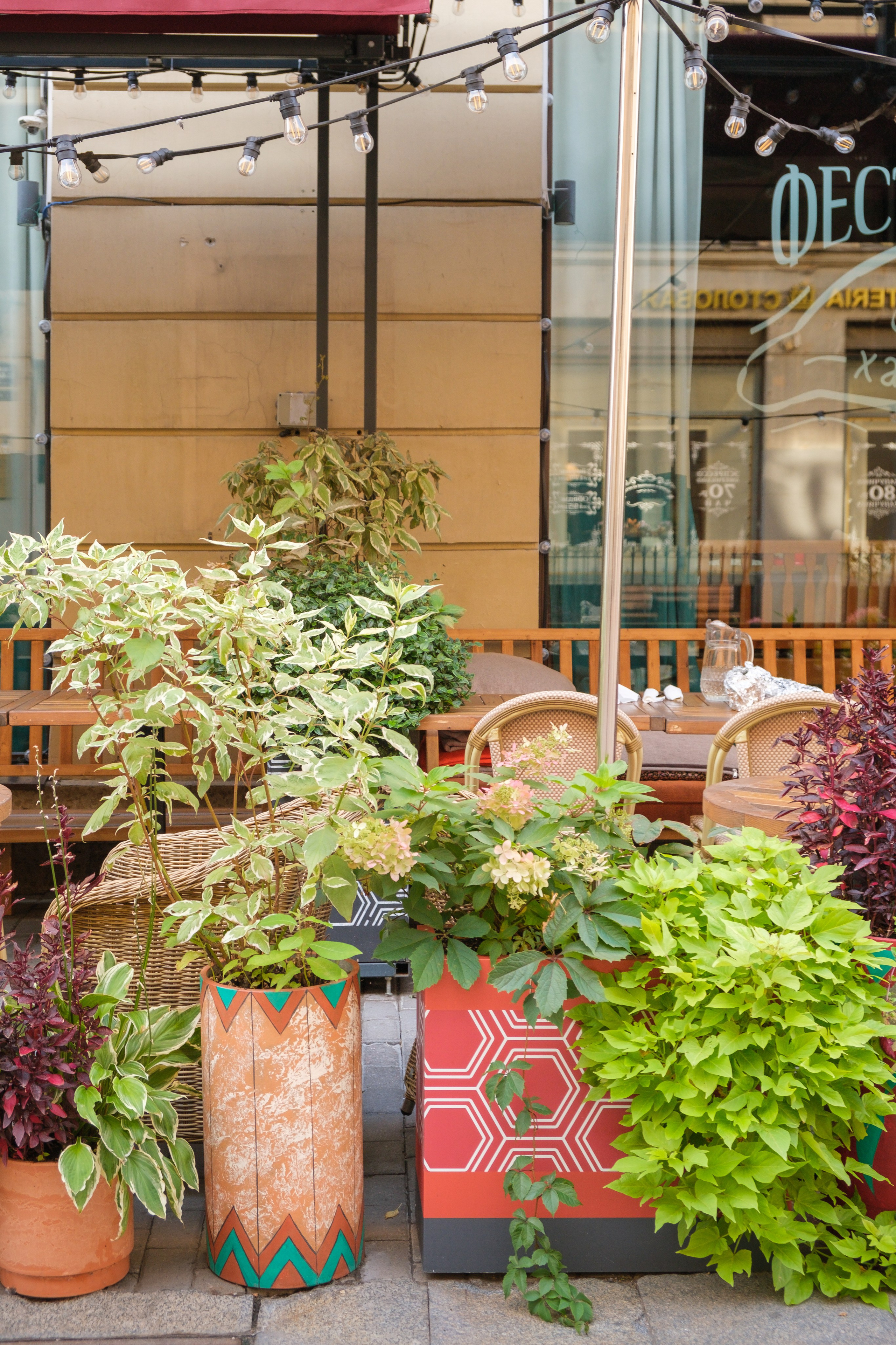 Озеленение