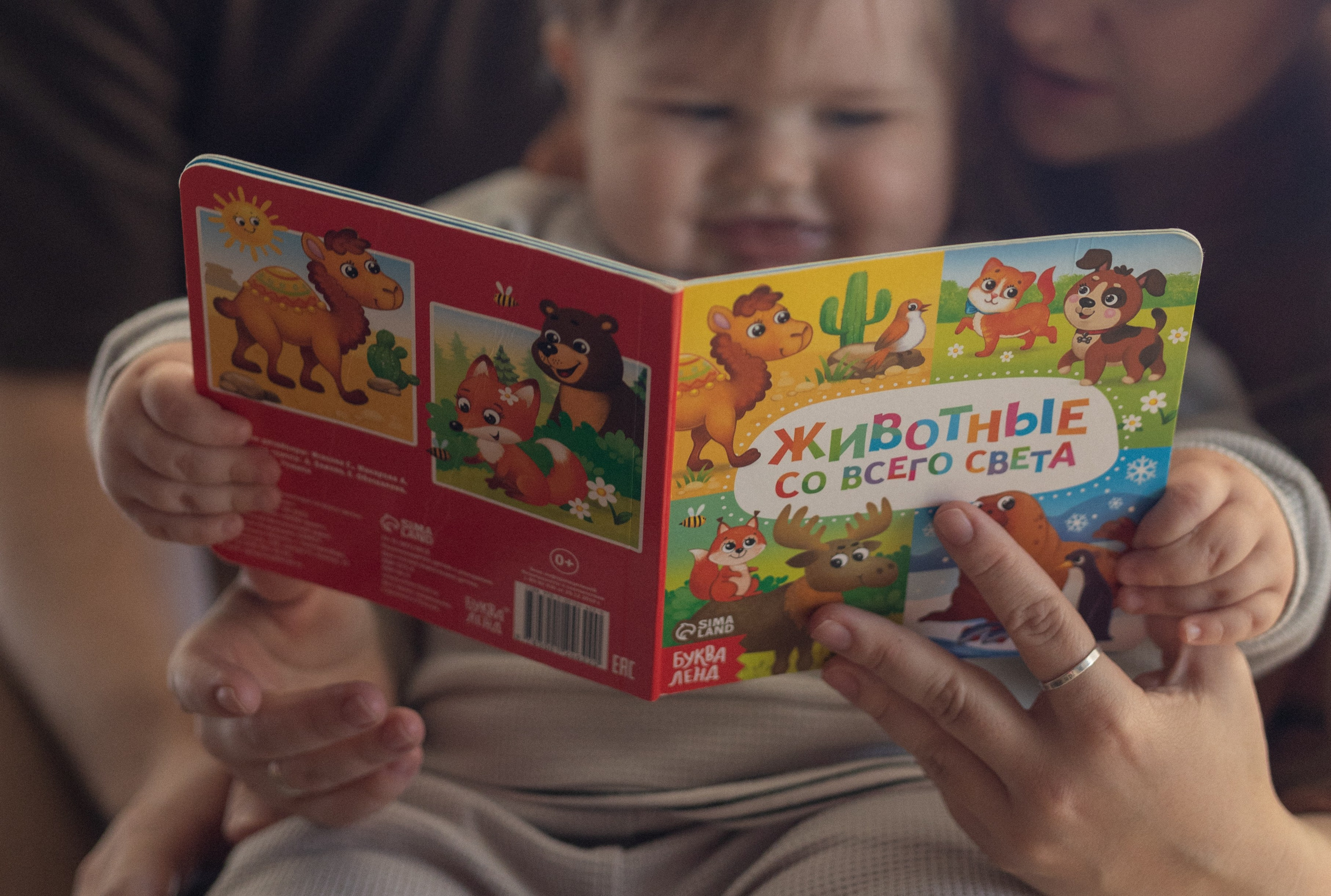 Михаил, Аня и Тотоша. Фотограф в Нижнем Новгороде, Дзержинске Олеся Хозяева