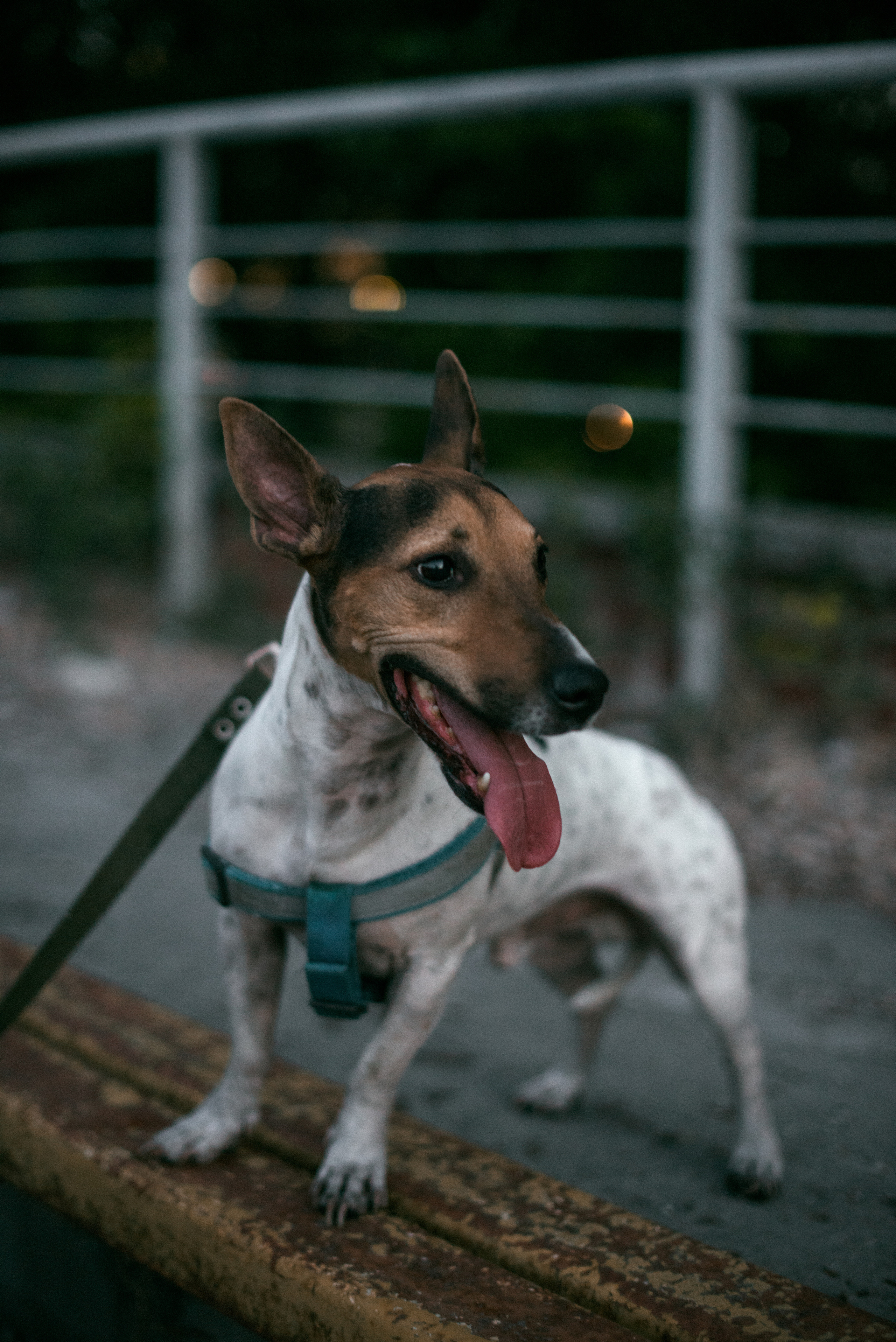 Женя и Макс. Фотограф в Челябинске Любовь Денисенко