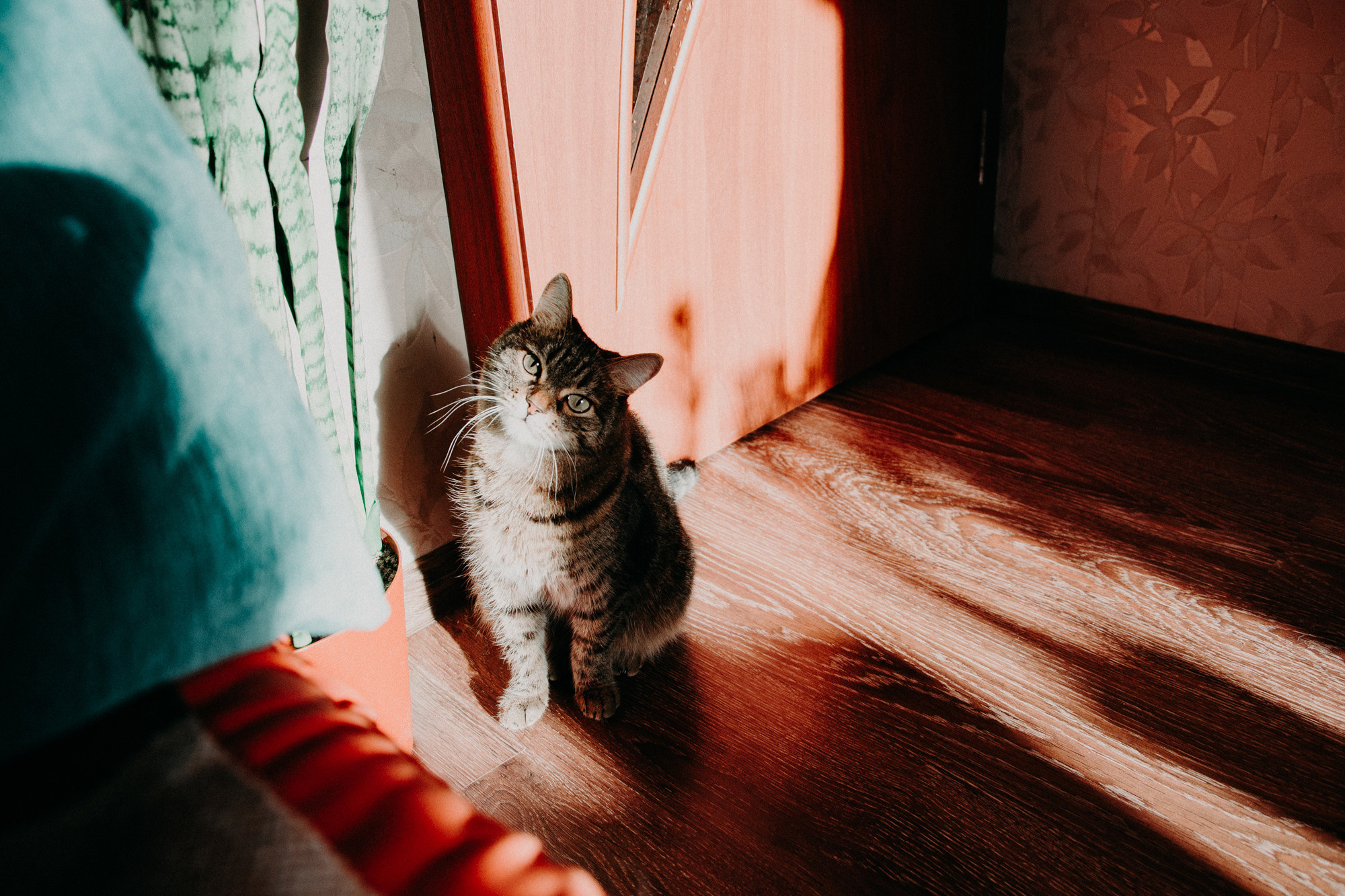 Алёна Гжель. Фотограф в Челябинске Любовь Денисенко