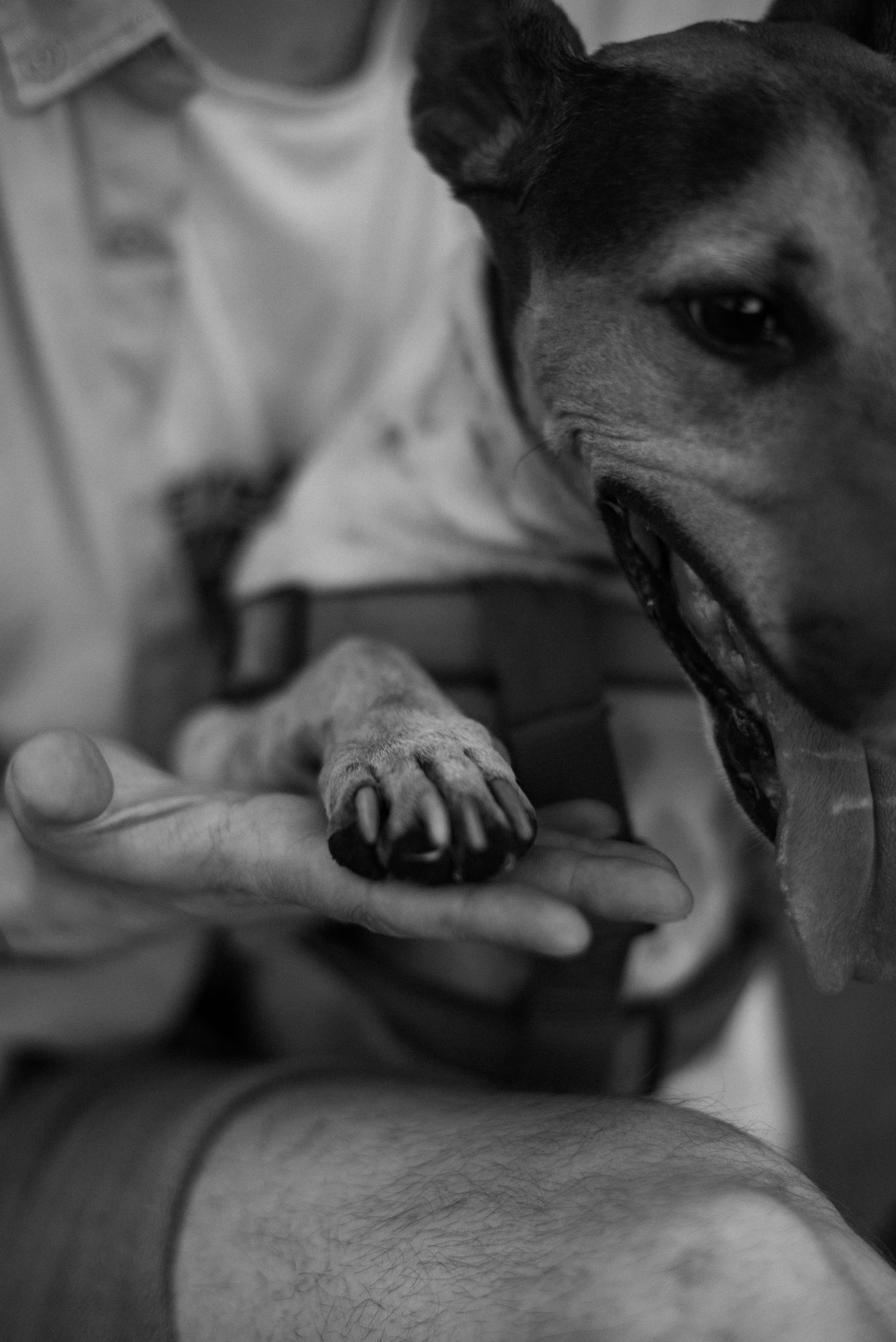 Женя и Макс. Фотограф в Челябинске Любовь Денисенко