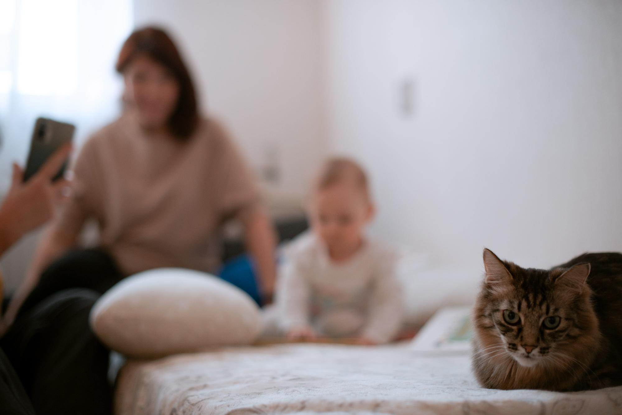 Корытко. Домашняя. Кате 1 годик. Фотограф в Челябинске Любовь Денисенко