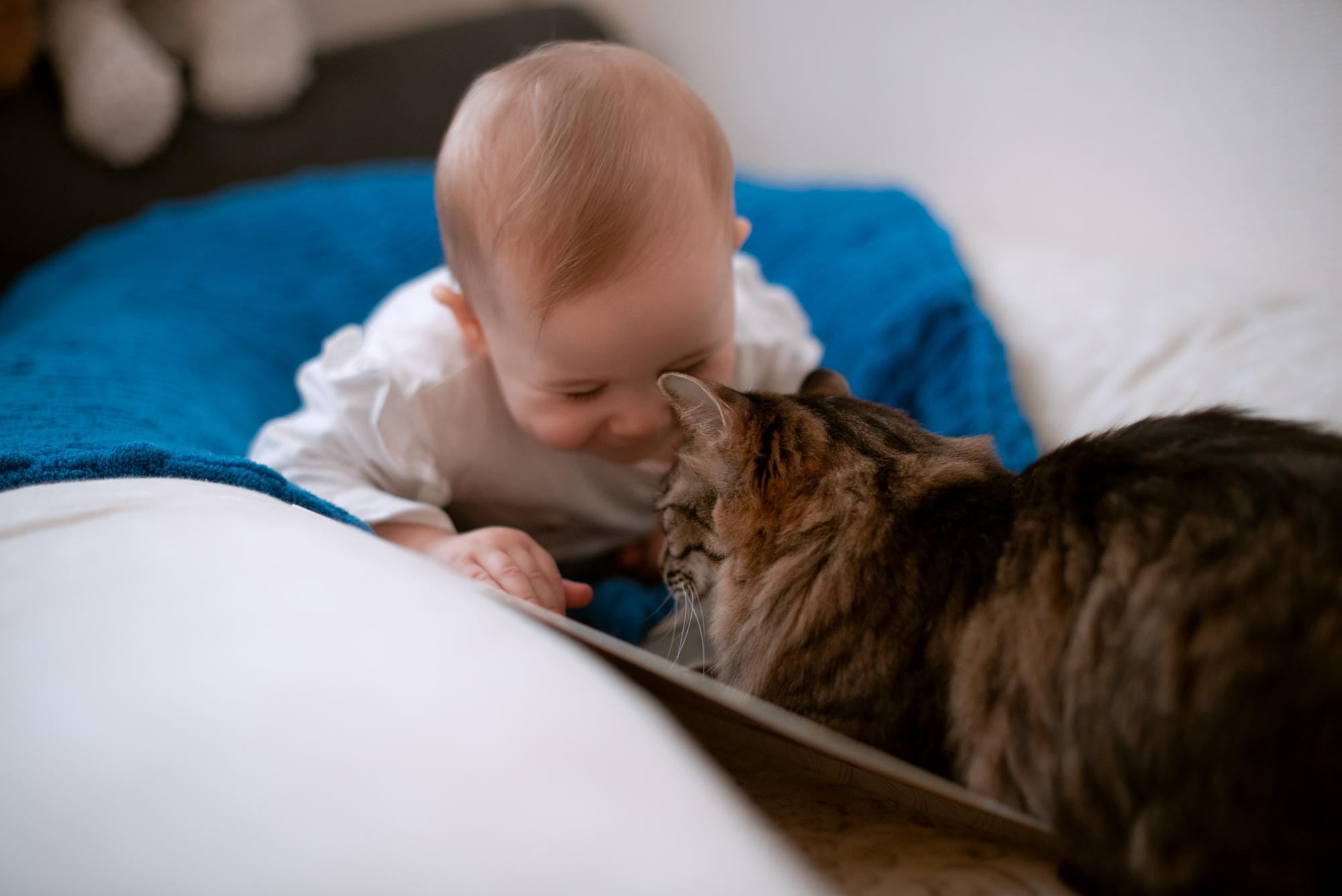 Корытко. Домашняя. Кате 1 годик. Фотограф в Челябинске Любовь Денисенко