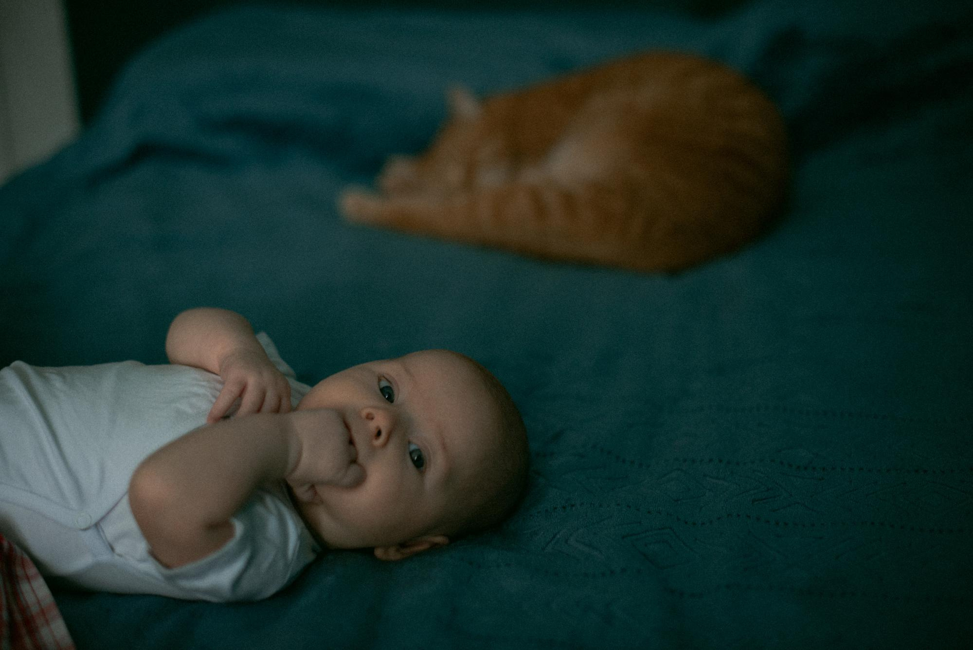 Корытко. Домашняя. Фотограф в Челябинске Любовь Денисенко