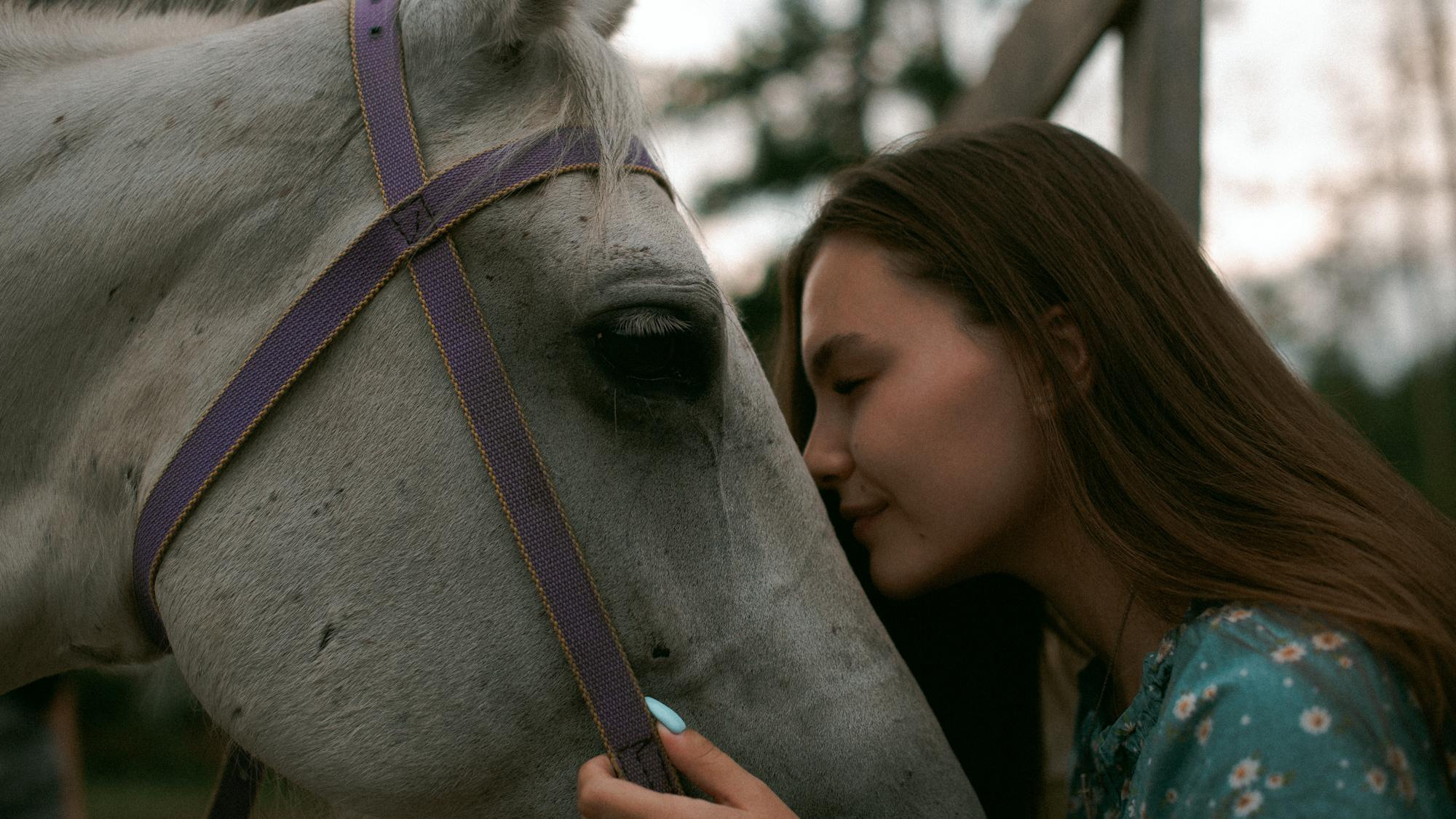 Наташа. Конная прогулка. Фотограф в Челябинске Любовь Денисенко