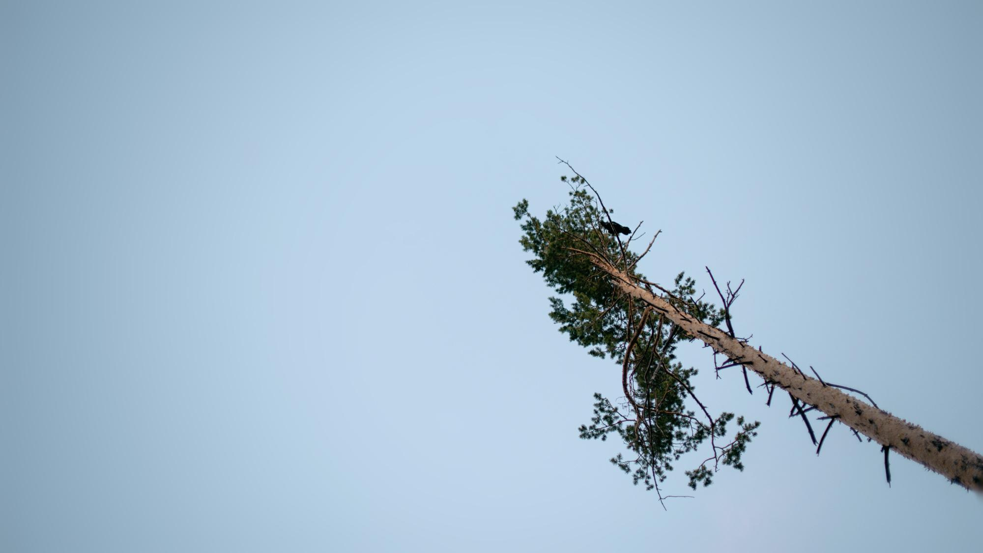 Лера и Арина. Фотограф в Челябинске Любовь Денисенко