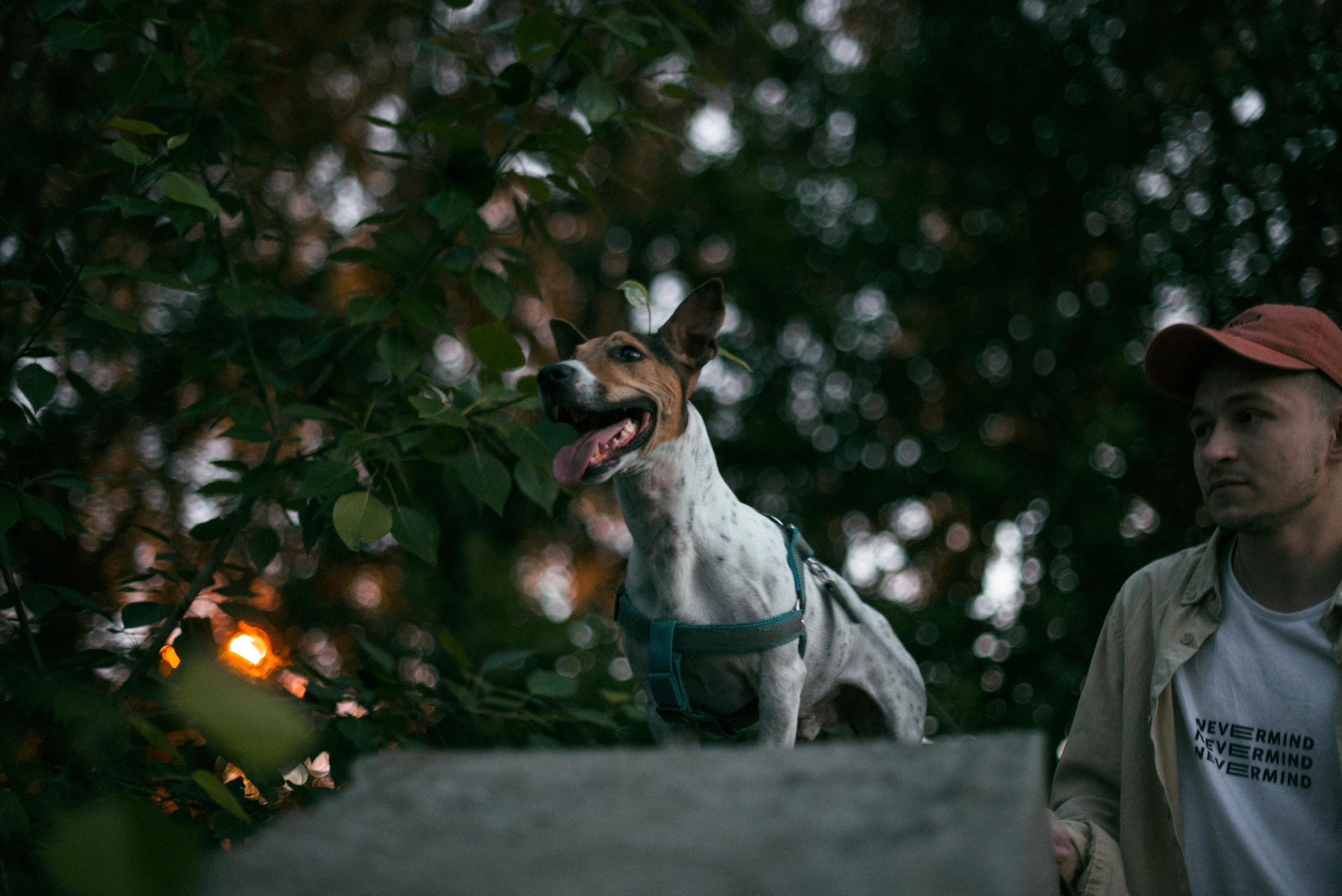 Женя и Макс. Фотограф в Челябинске Любовь Денисенко