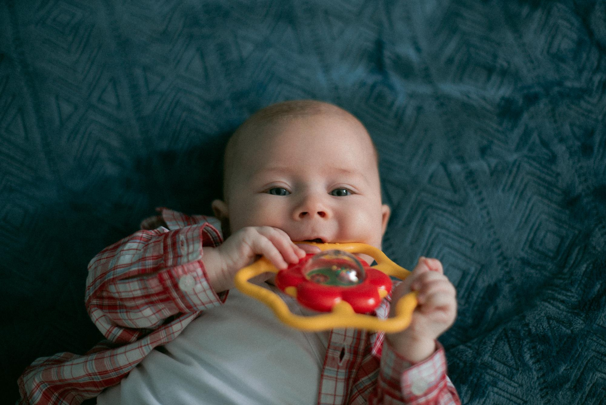 Корытко. Домашняя. Фотограф в Челябинске Любовь Денисенко
