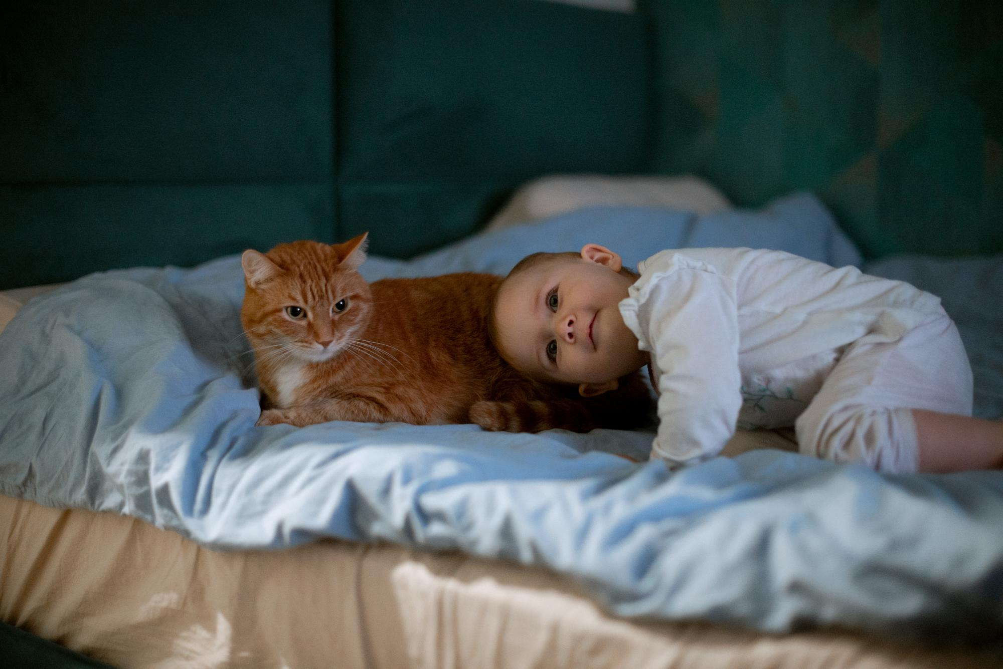 Корытко. Домашняя. Кате 1 годик. Фотограф в Челябинске Любовь Денисенко