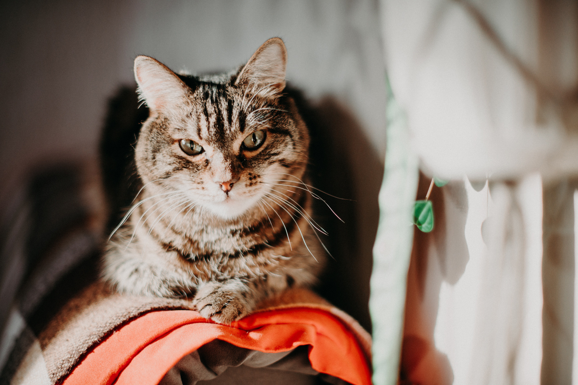 Алёна Гжель. Фотограф в Челябинске Любовь Денисенко