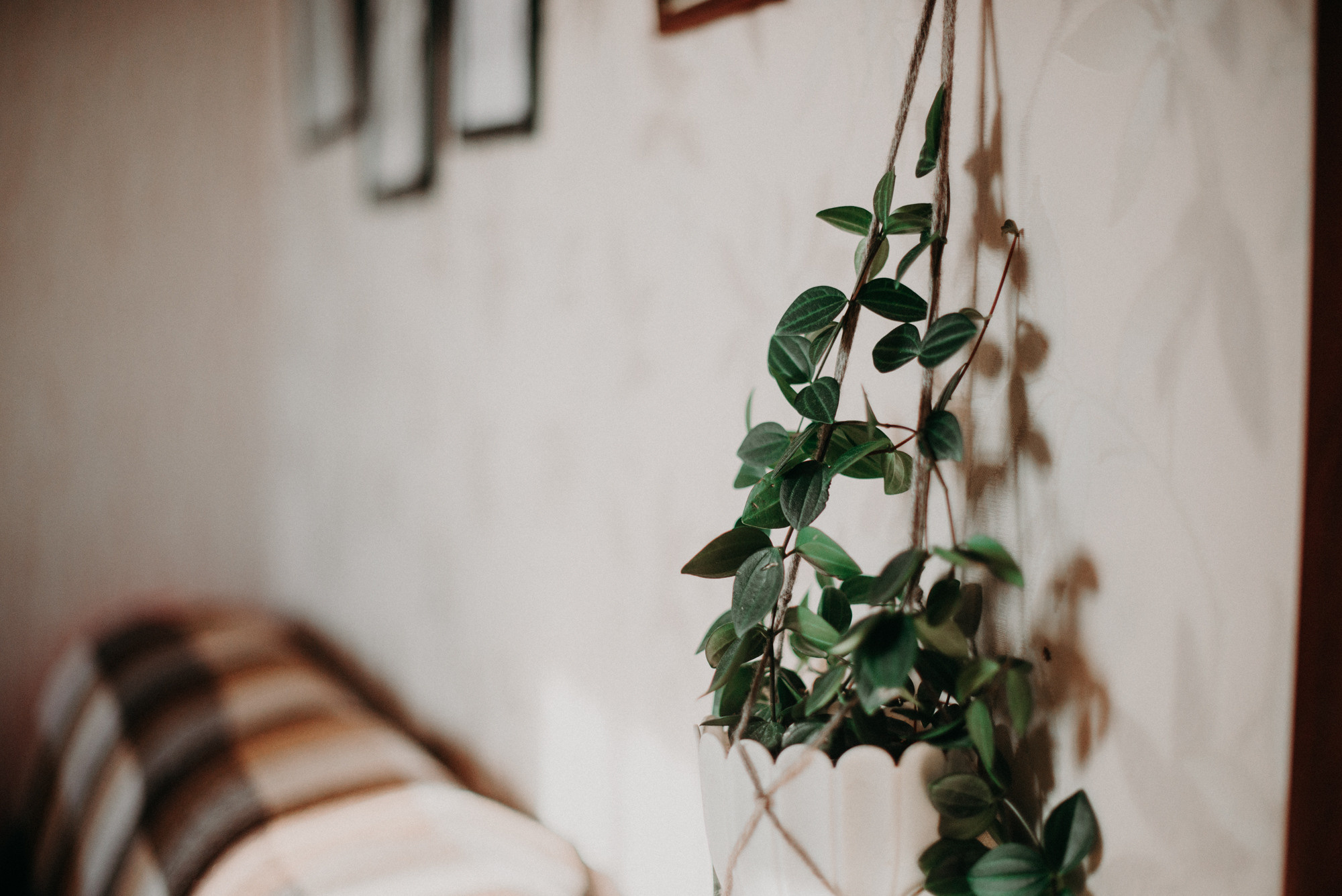 Алёна Гжель. Фотограф в Челябинске Любовь Денисенко