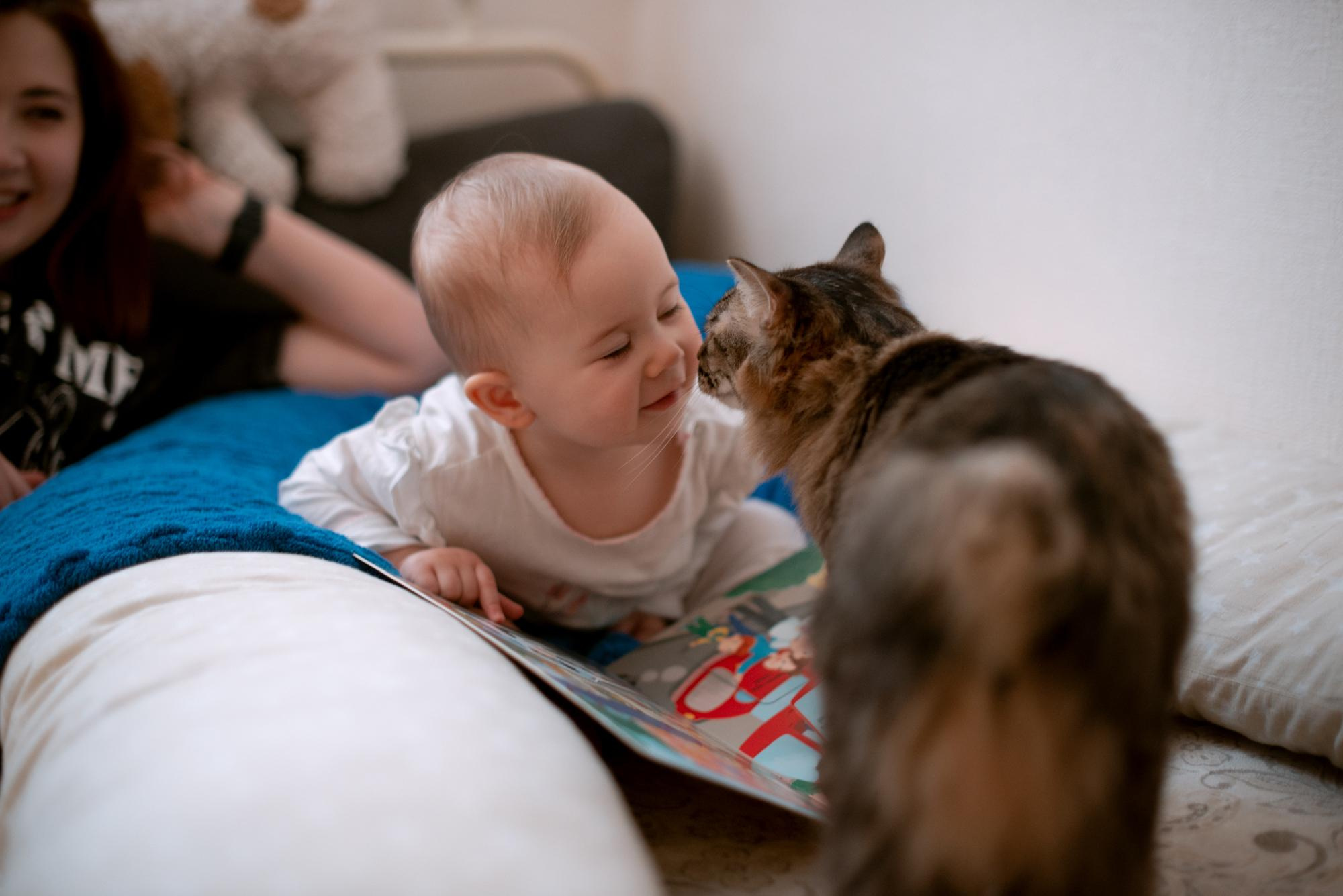 Корытко. Домашняя. Кате 1 годик. Фотограф в Челябинске Любовь Денисенко