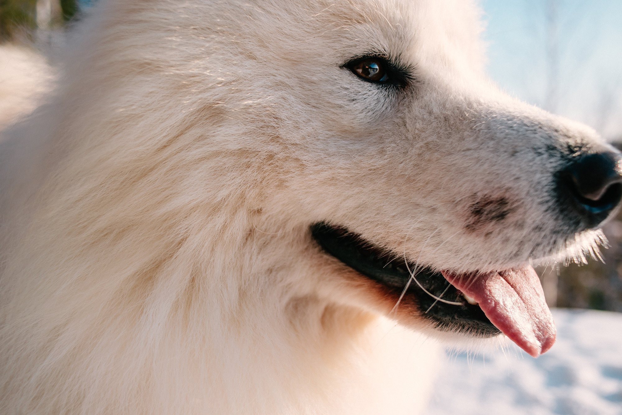 Вика и Настя. Изумрудный. Фотограф в Челябинске Любовь Денисенко