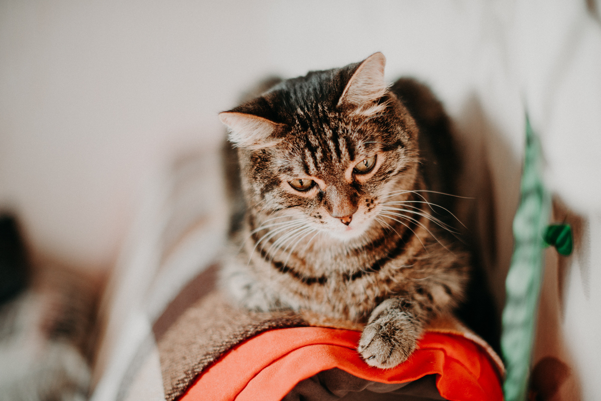 Алёна Гжель. Фотограф в Челябинске Любовь Денисенко