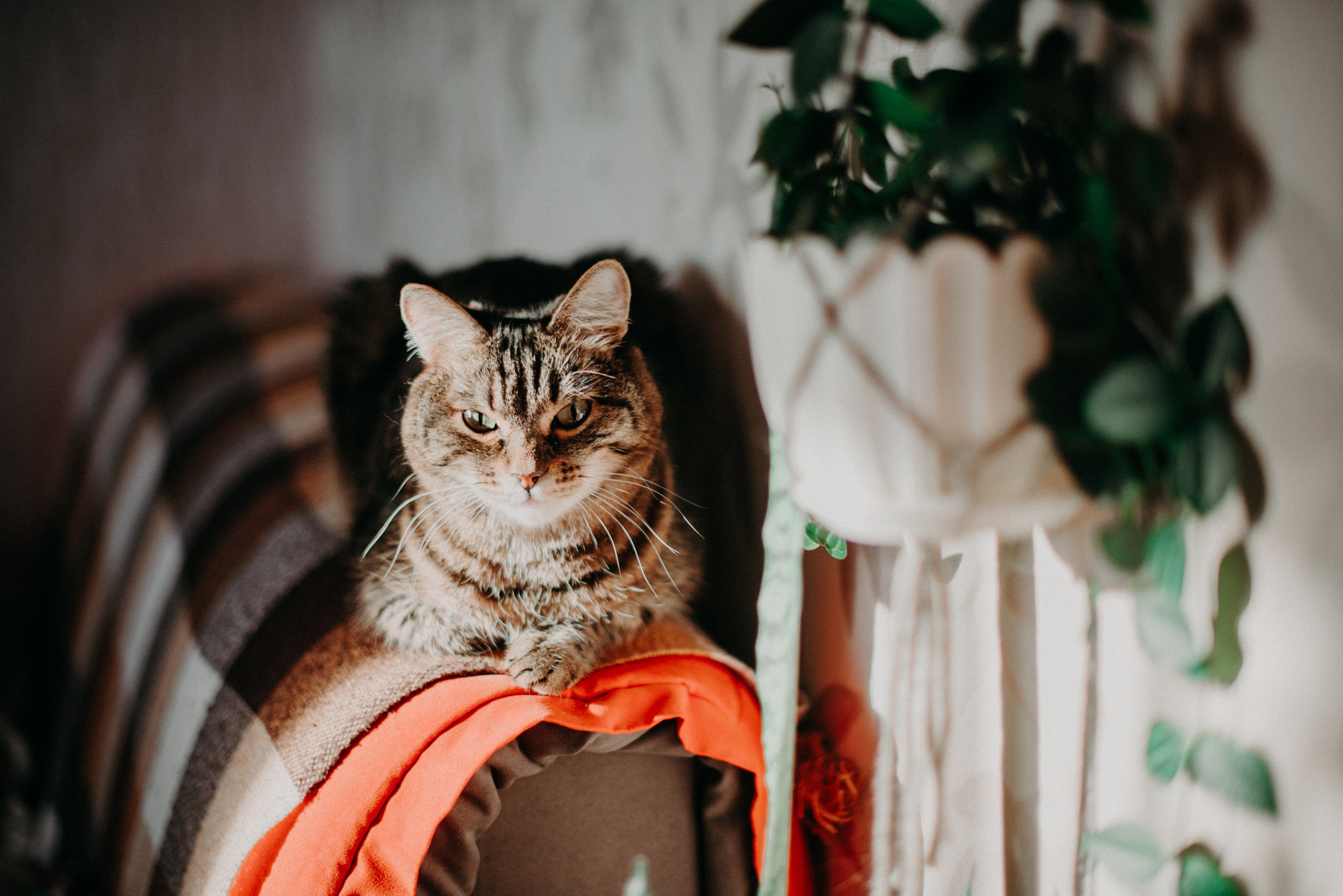 Алёна Гжель. Фотограф в Челябинске Любовь Денисенко