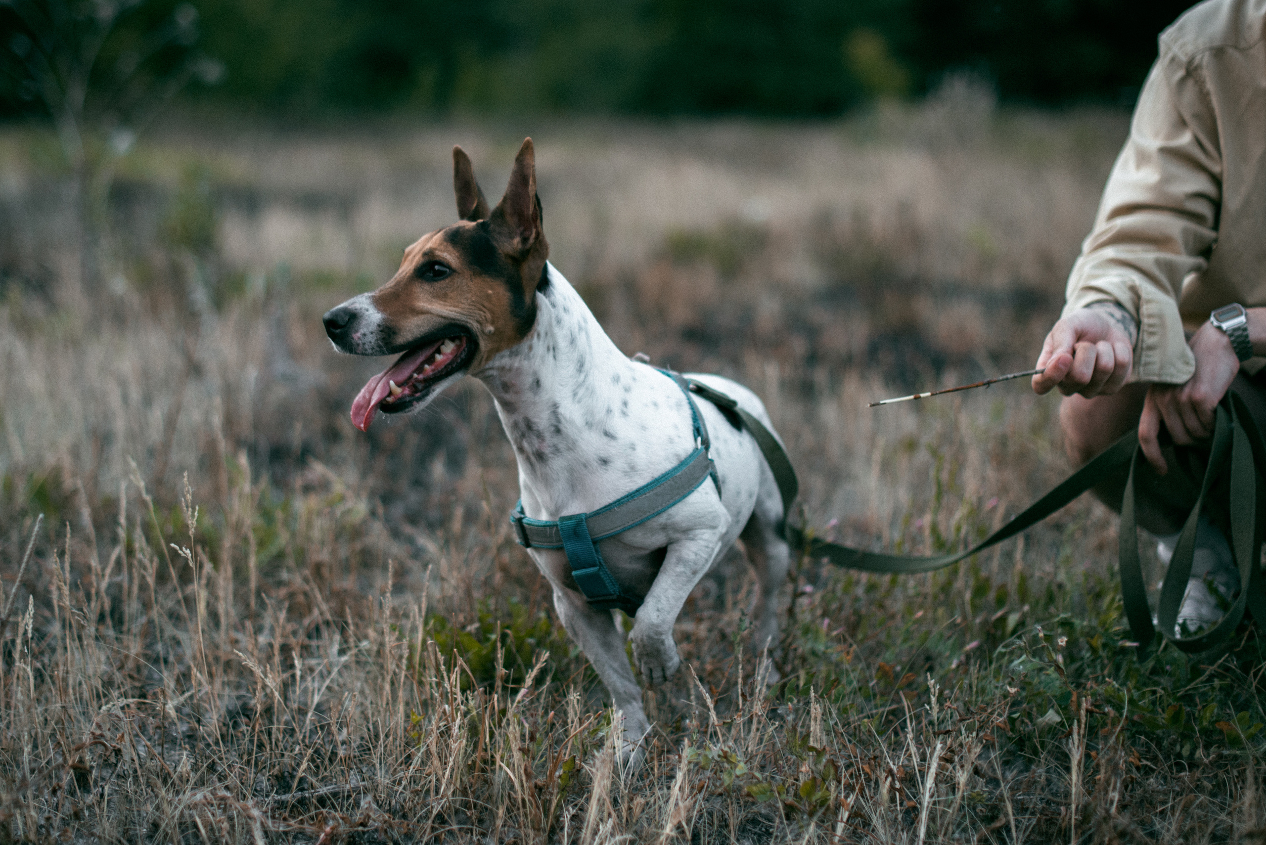Женя и Макс. Фотограф в Челябинске Любовь Денисенко