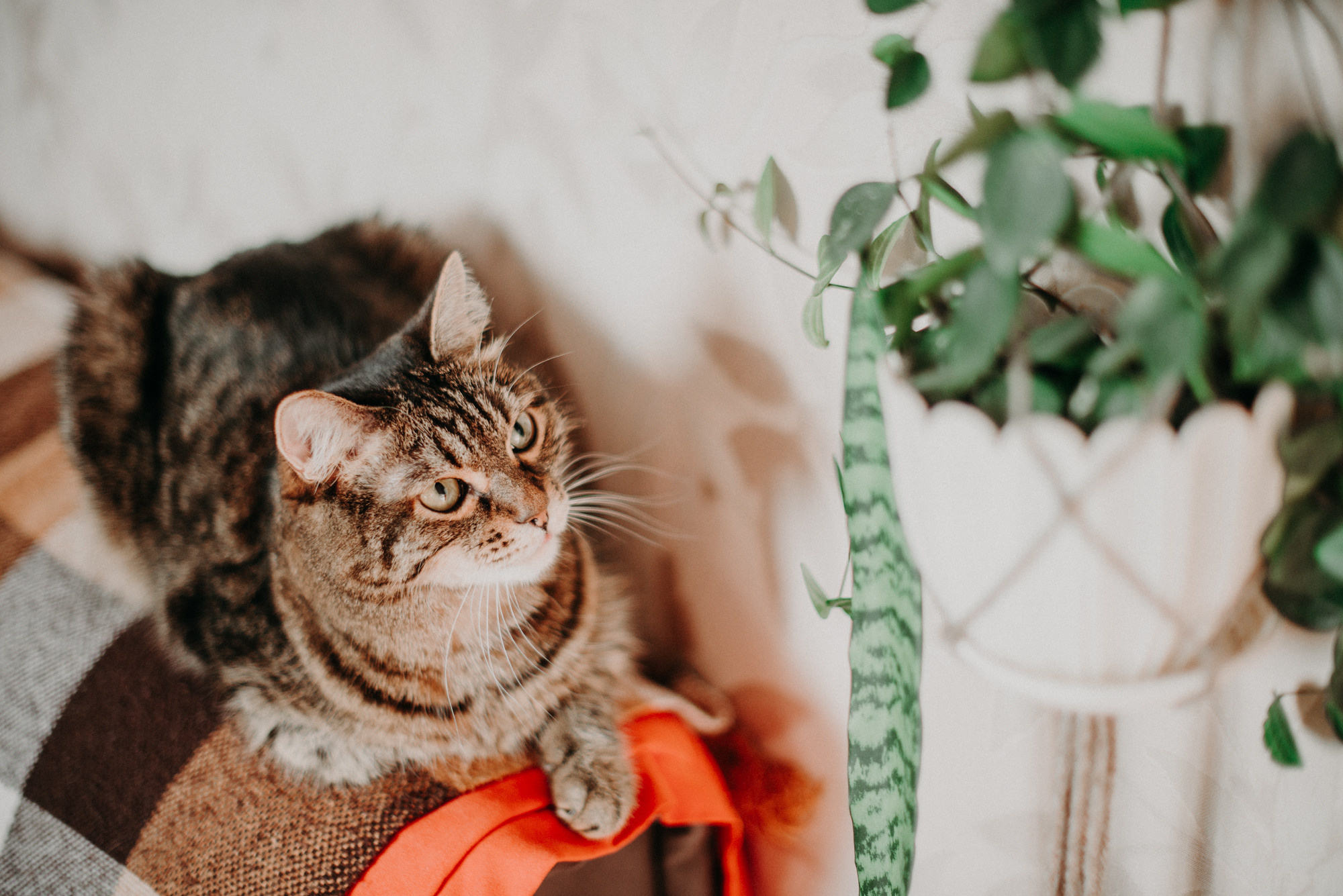 Алёна Гжель. Фотограф в Челябинске Любовь Денисенко