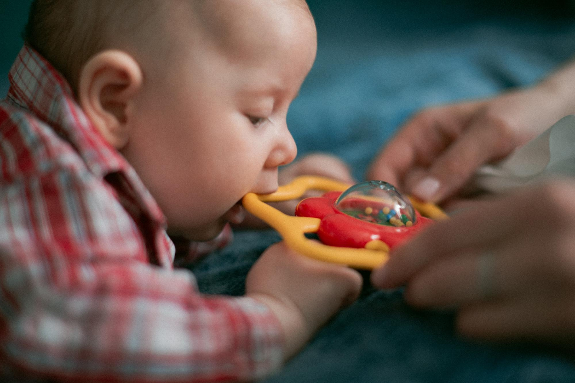 Корытко. Домашняя. Фотограф в Челябинске Любовь Денисенко