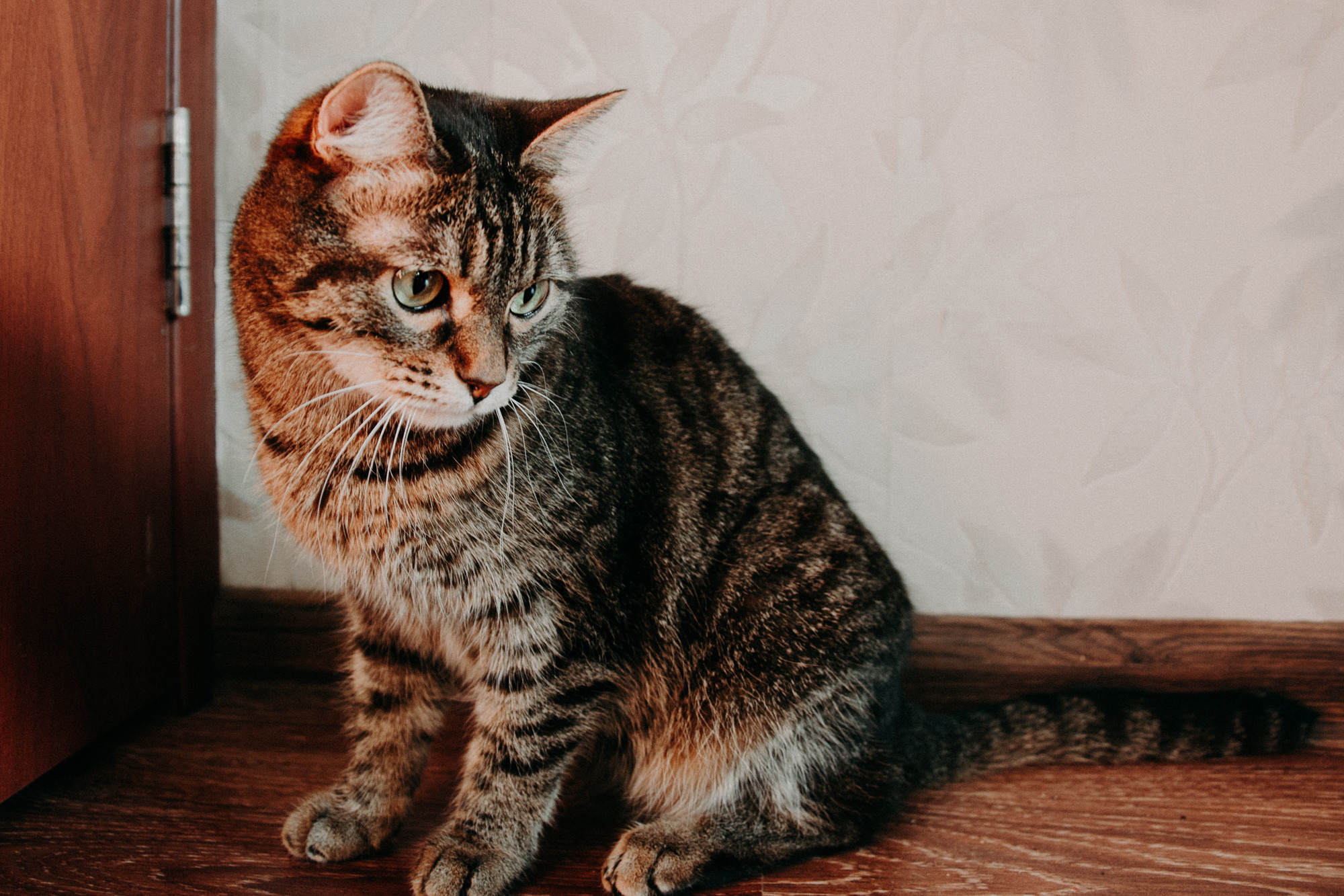 Алёна Гжель. Фотограф в Челябинске Любовь Денисенко