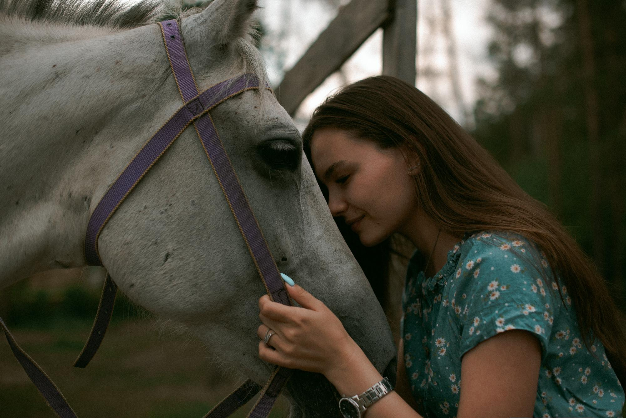 Наташа. Конная прогулка. Фотограф в Челябинске Любовь Денисенко