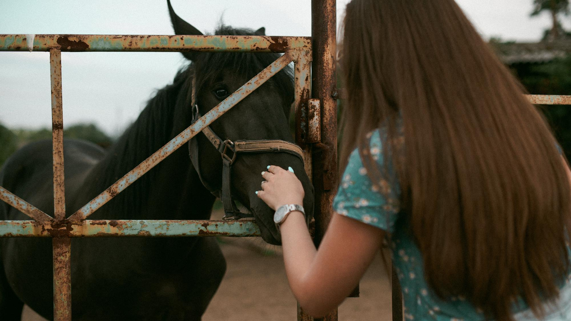 Наташа. Конная прогулка. Фотограф в Челябинске Любовь Денисенко
